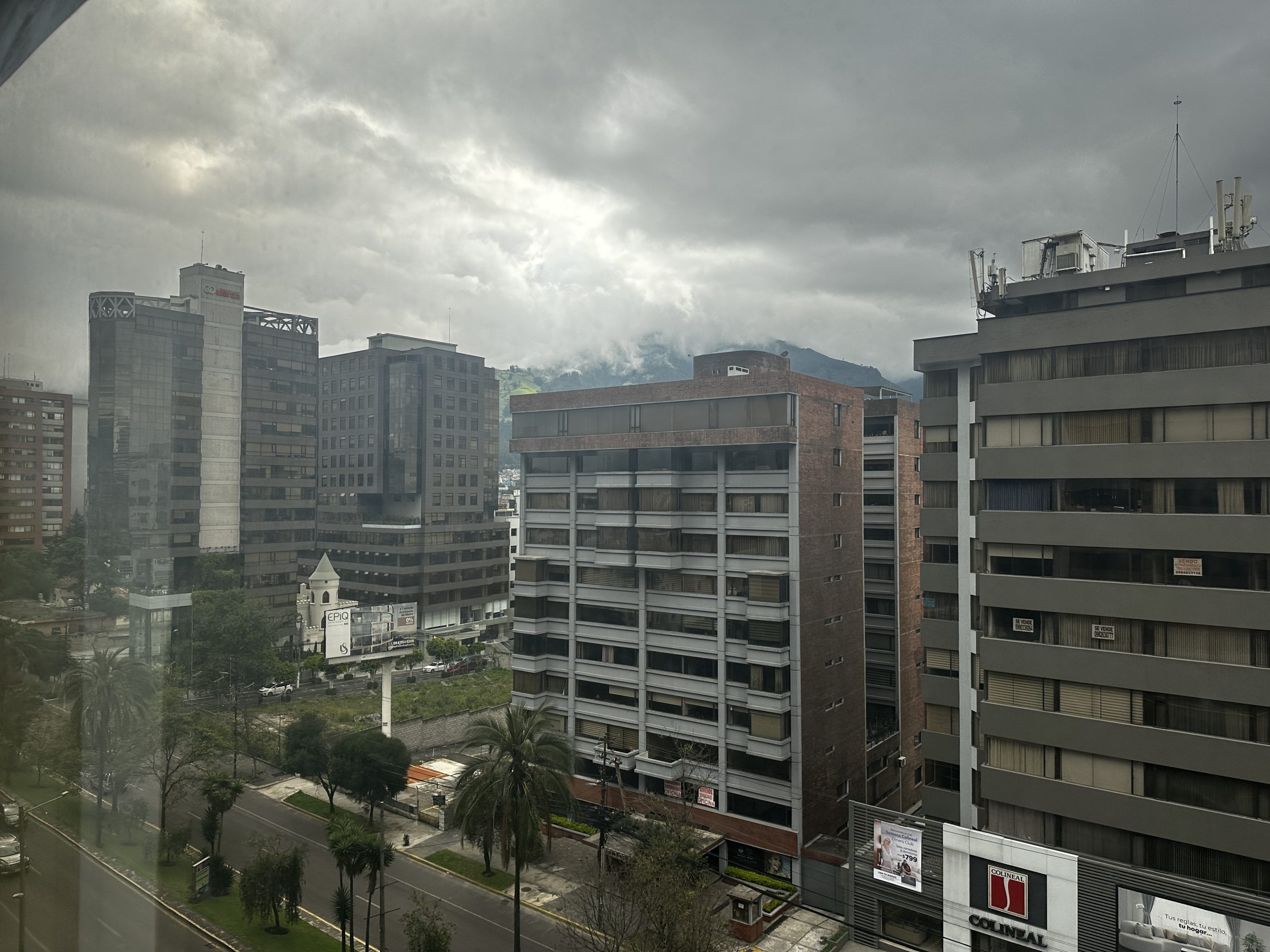 20240421_191323109_iOS