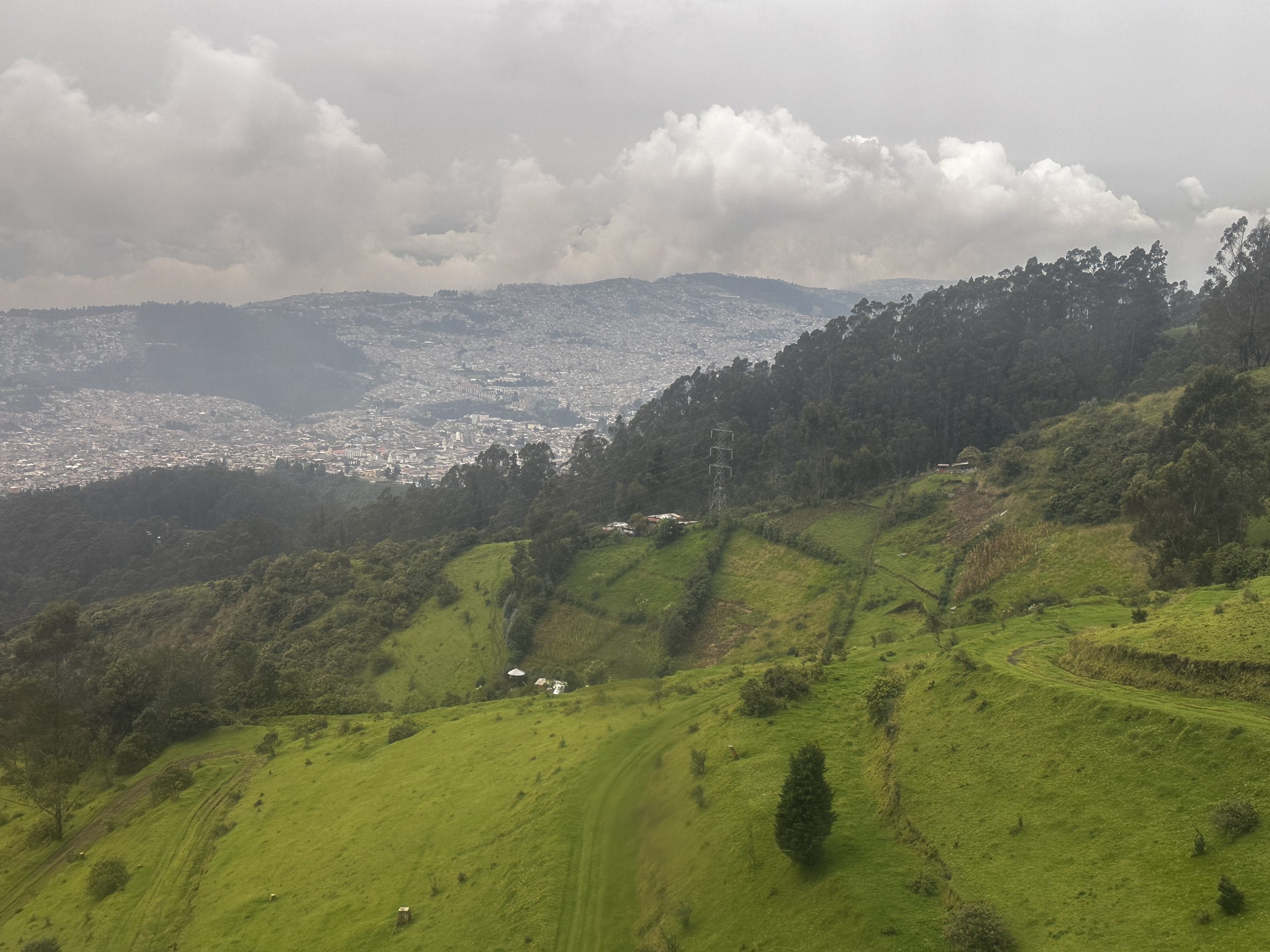 20240422_151533585_iOS