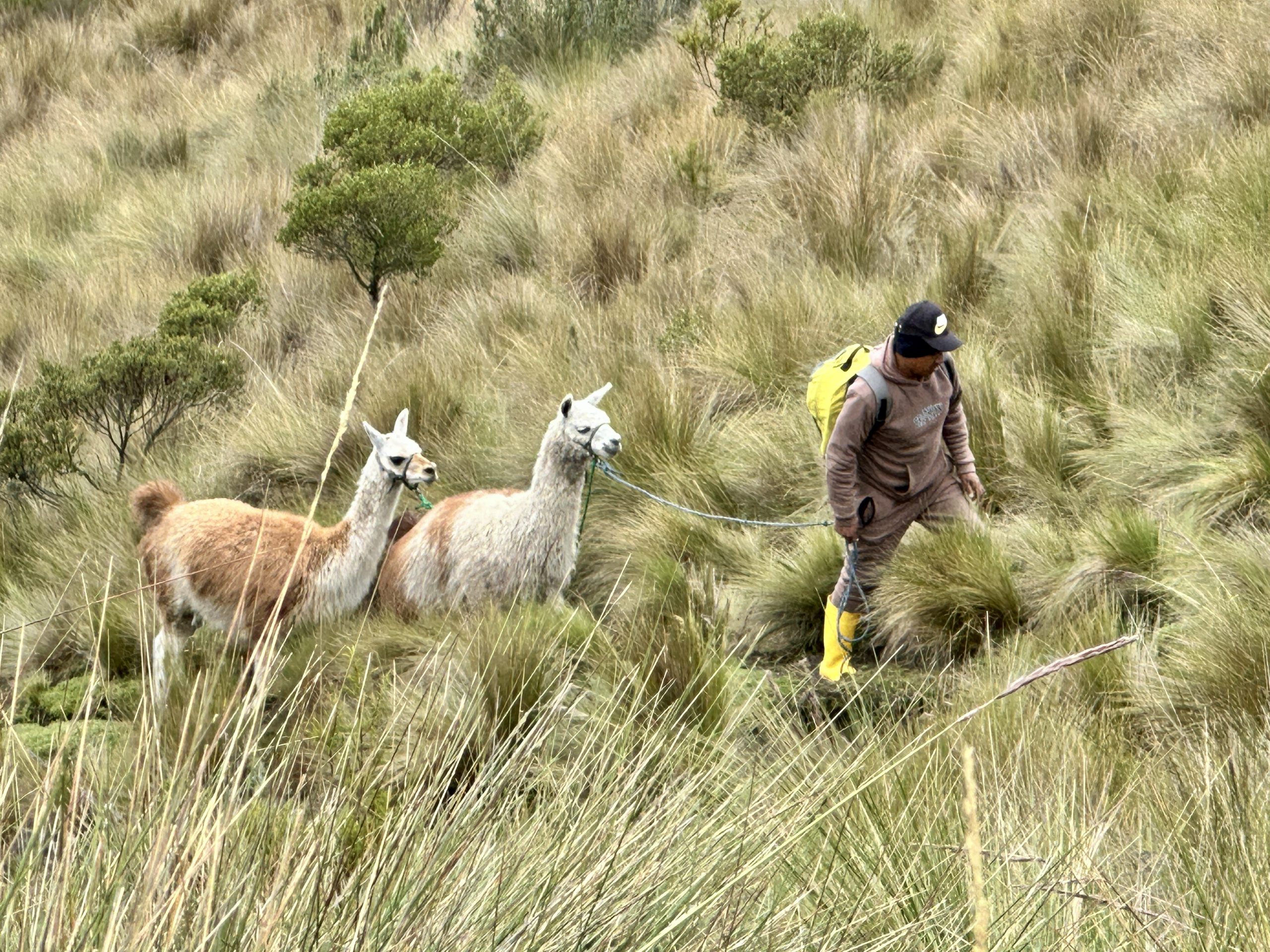 20240422_153345234_iOS