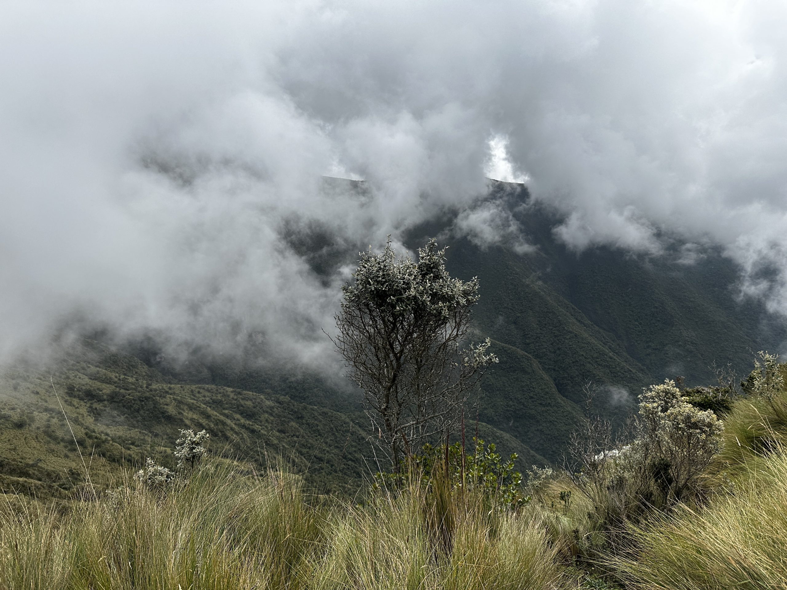 20240422_154605454_iOS