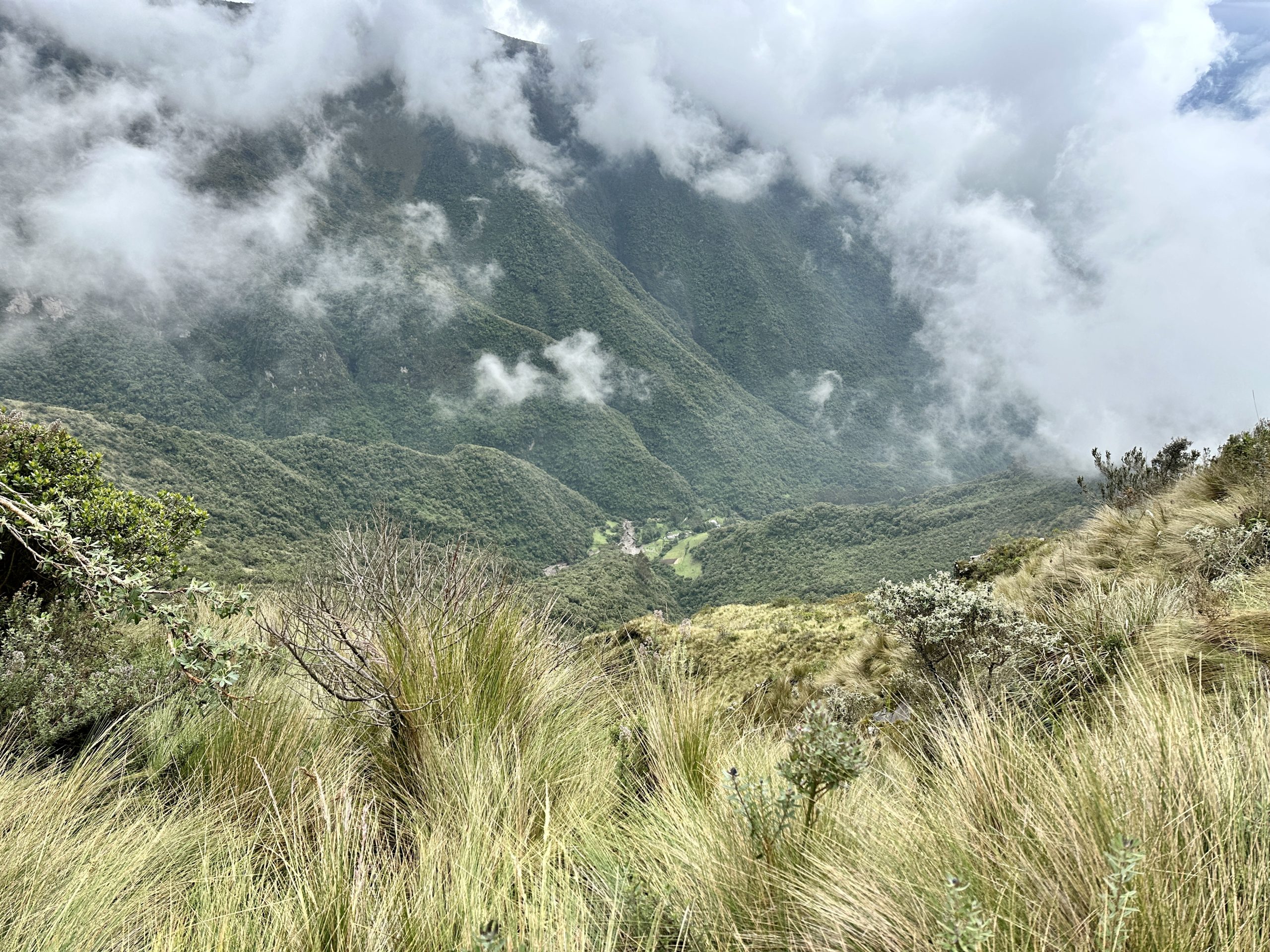 20240422_154706921_iOS