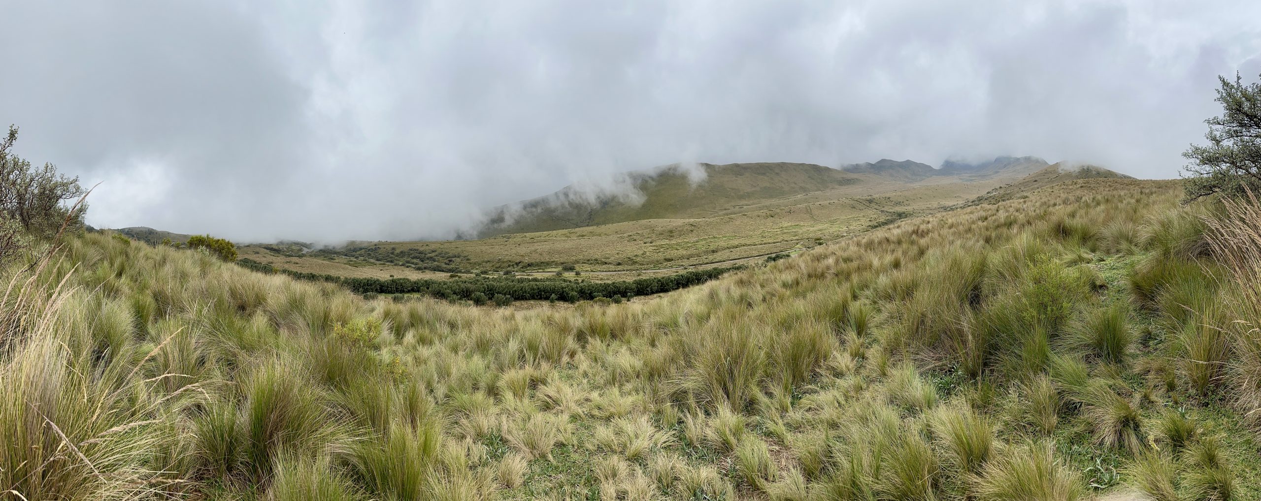 20240422_155507802_iOS