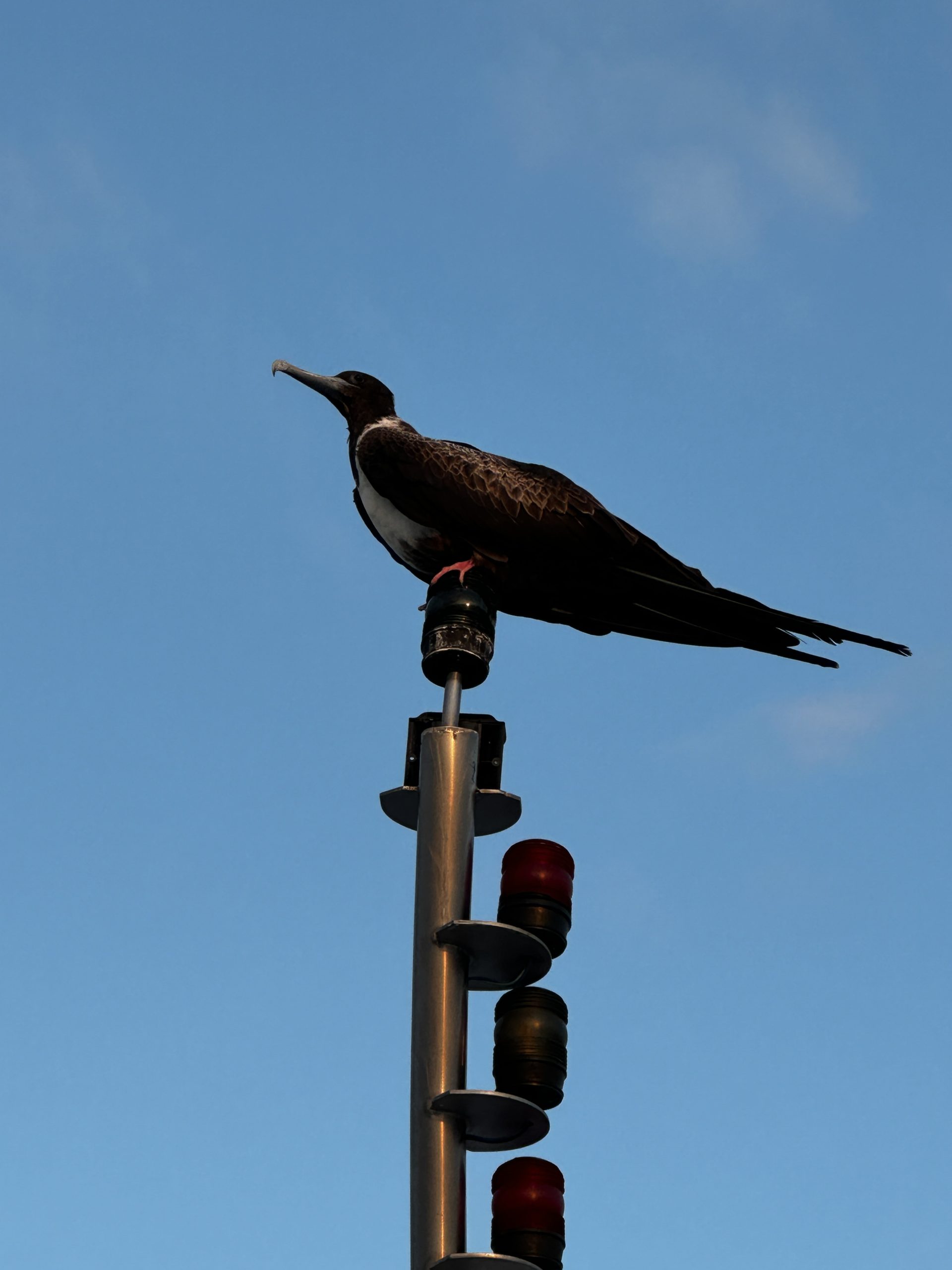 20240424_235407878_iOS