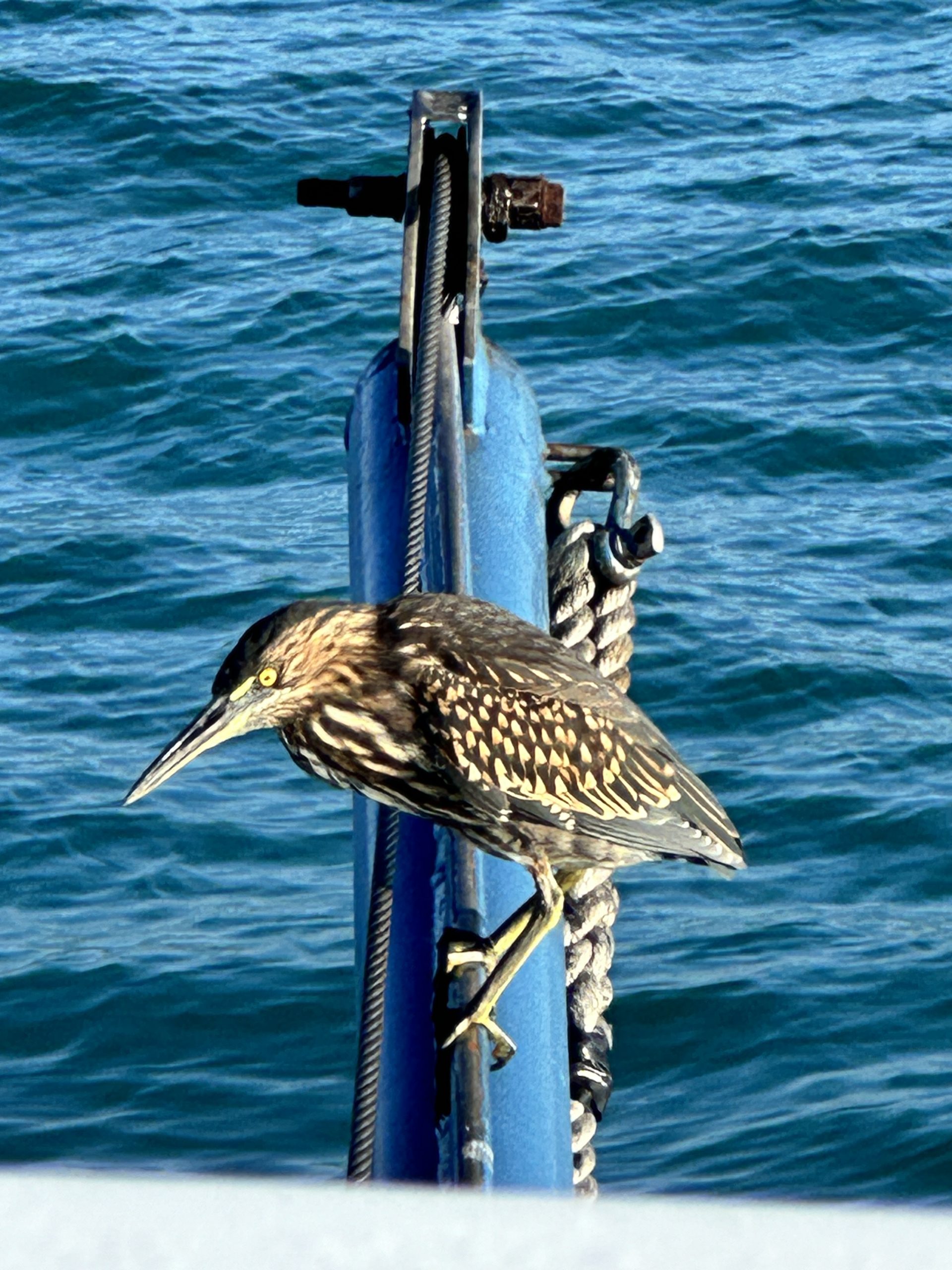 20240426_131440975_iOS