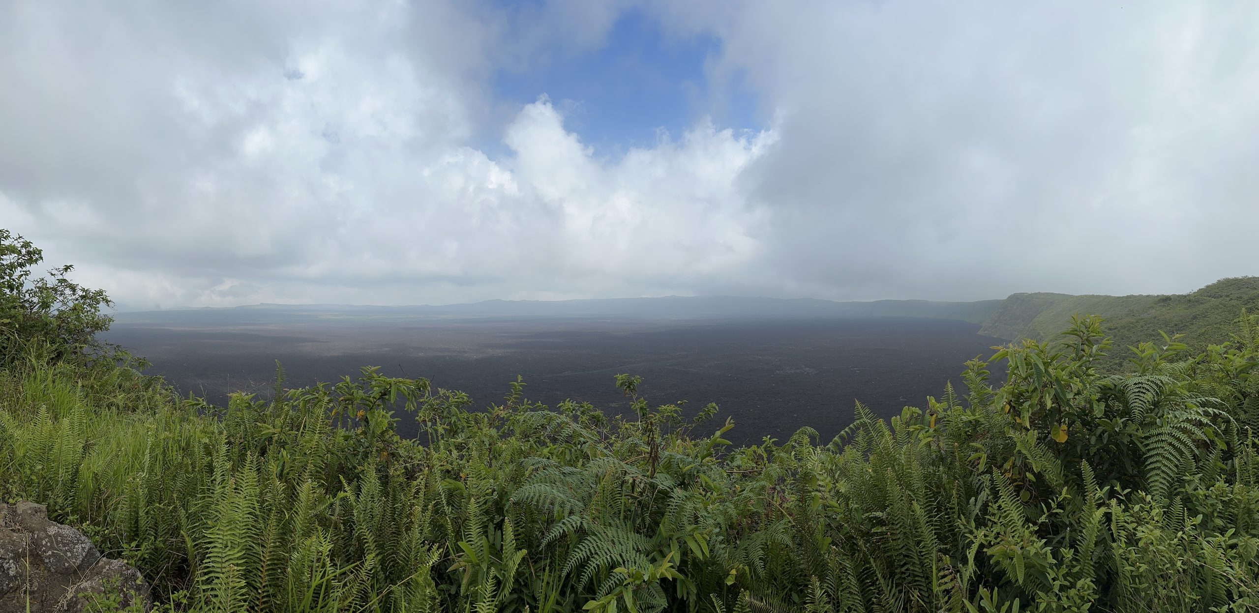 20240426_163323810_iOS