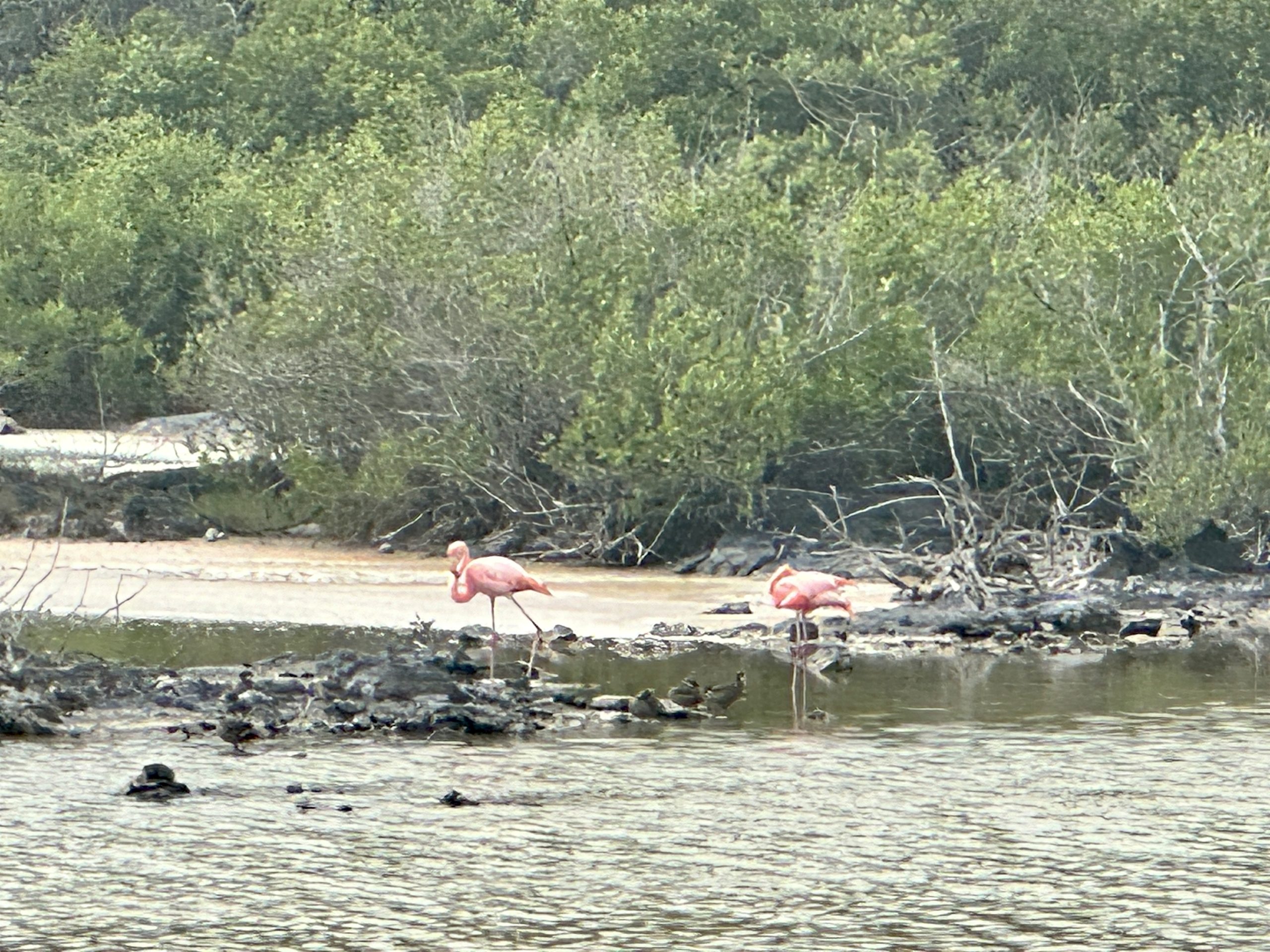 20240426_212627119_iOS