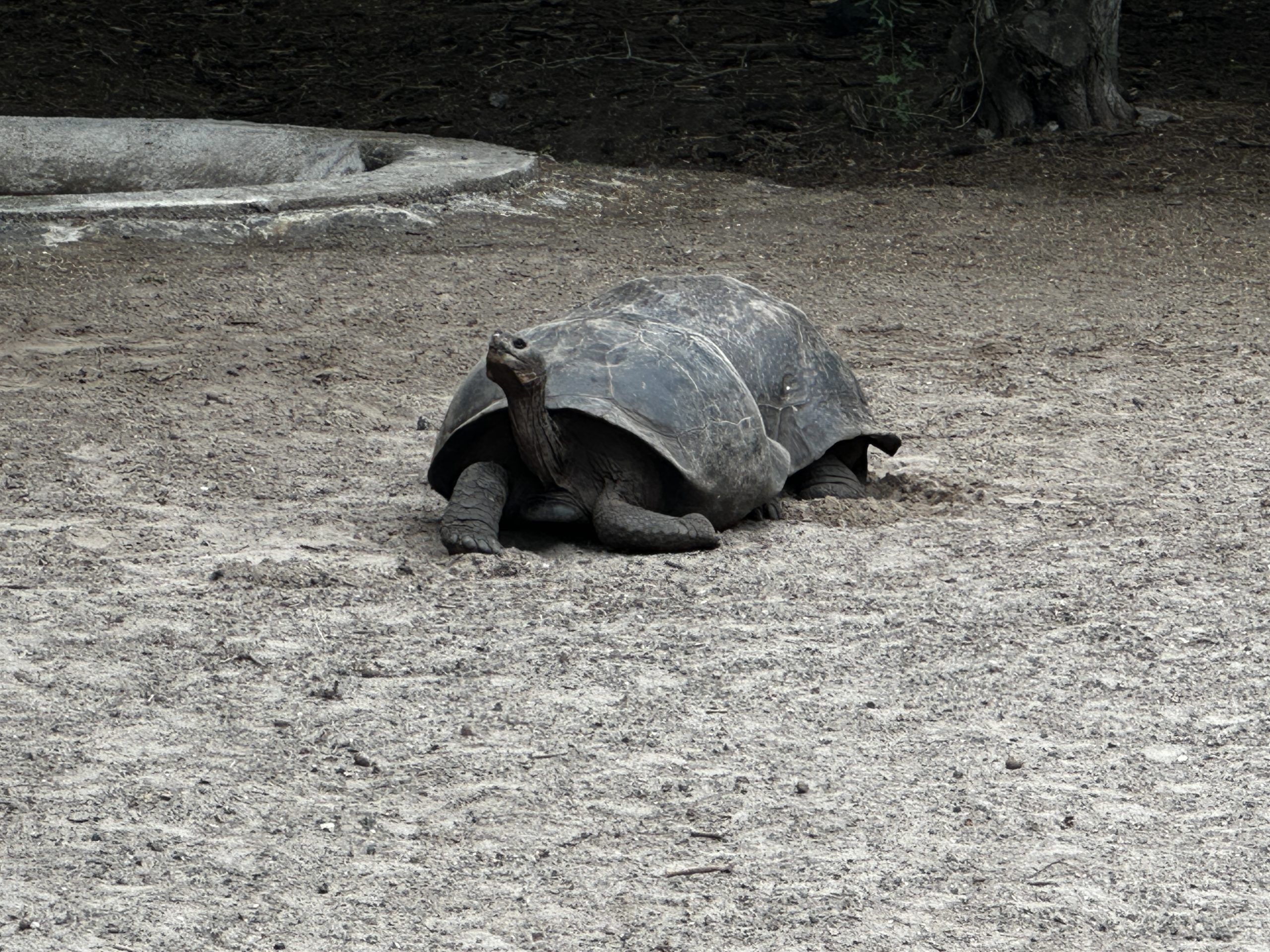 20240426_220358362_iOS