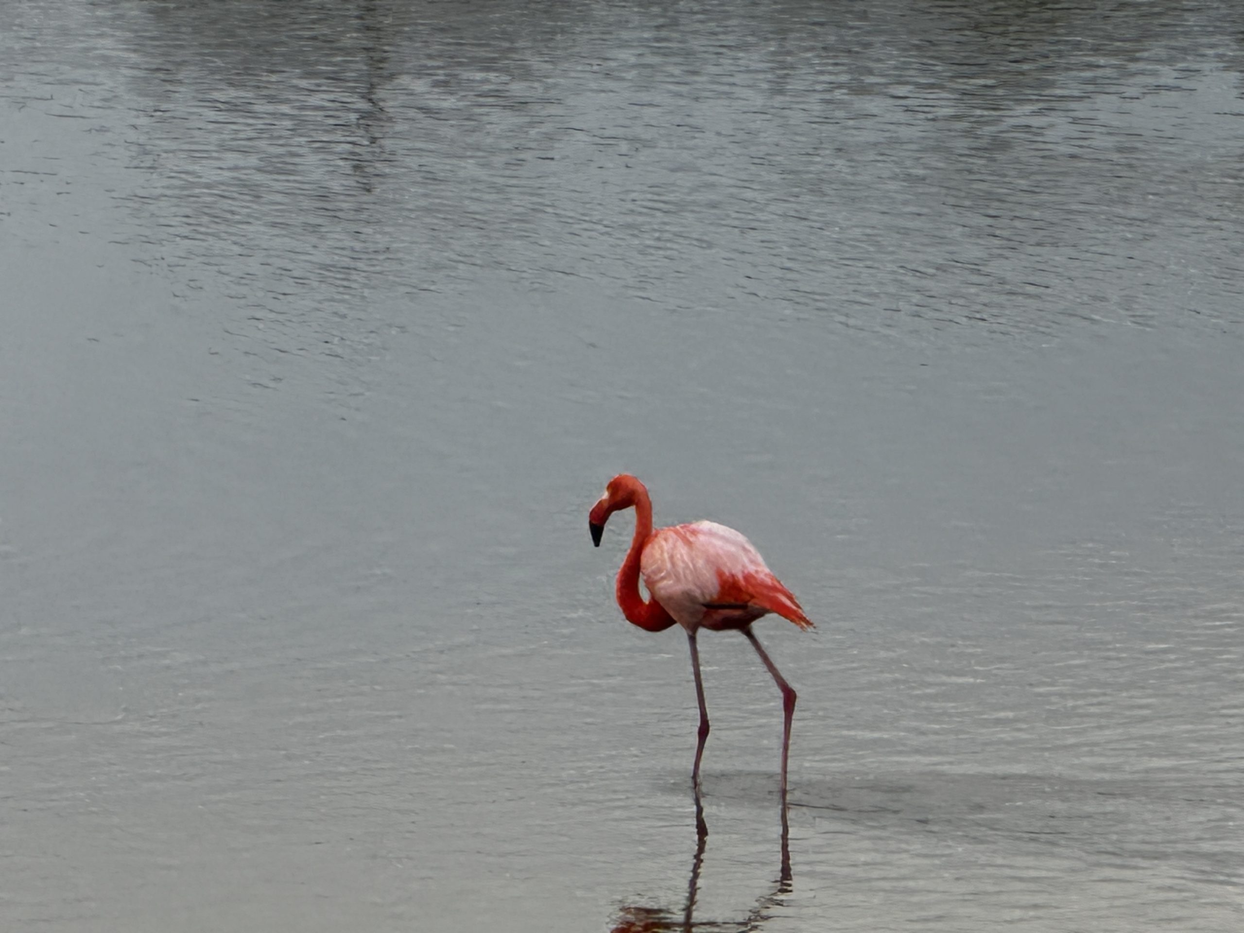 20240426_231728461_iOS