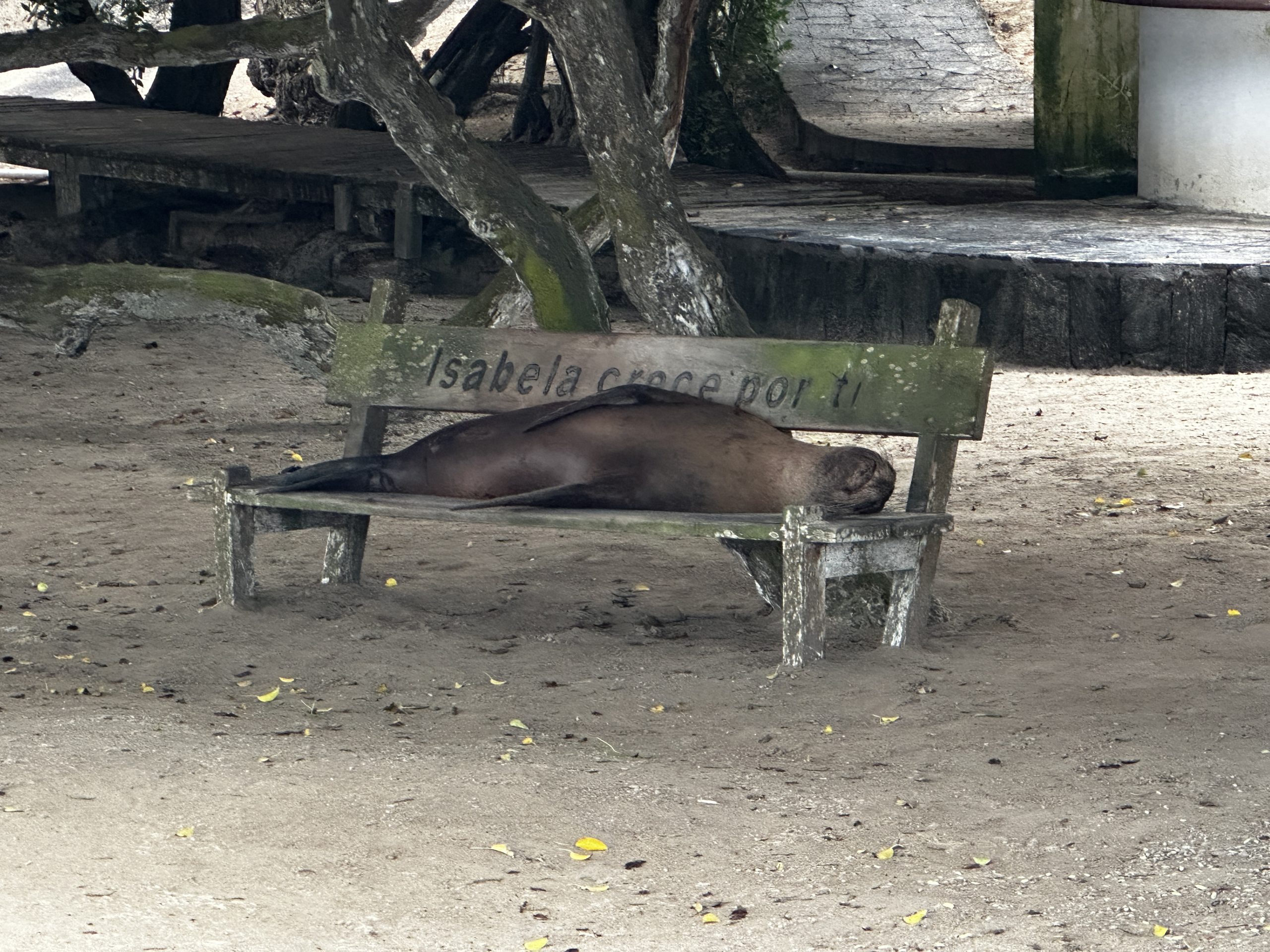 20240426_234152931_iOS