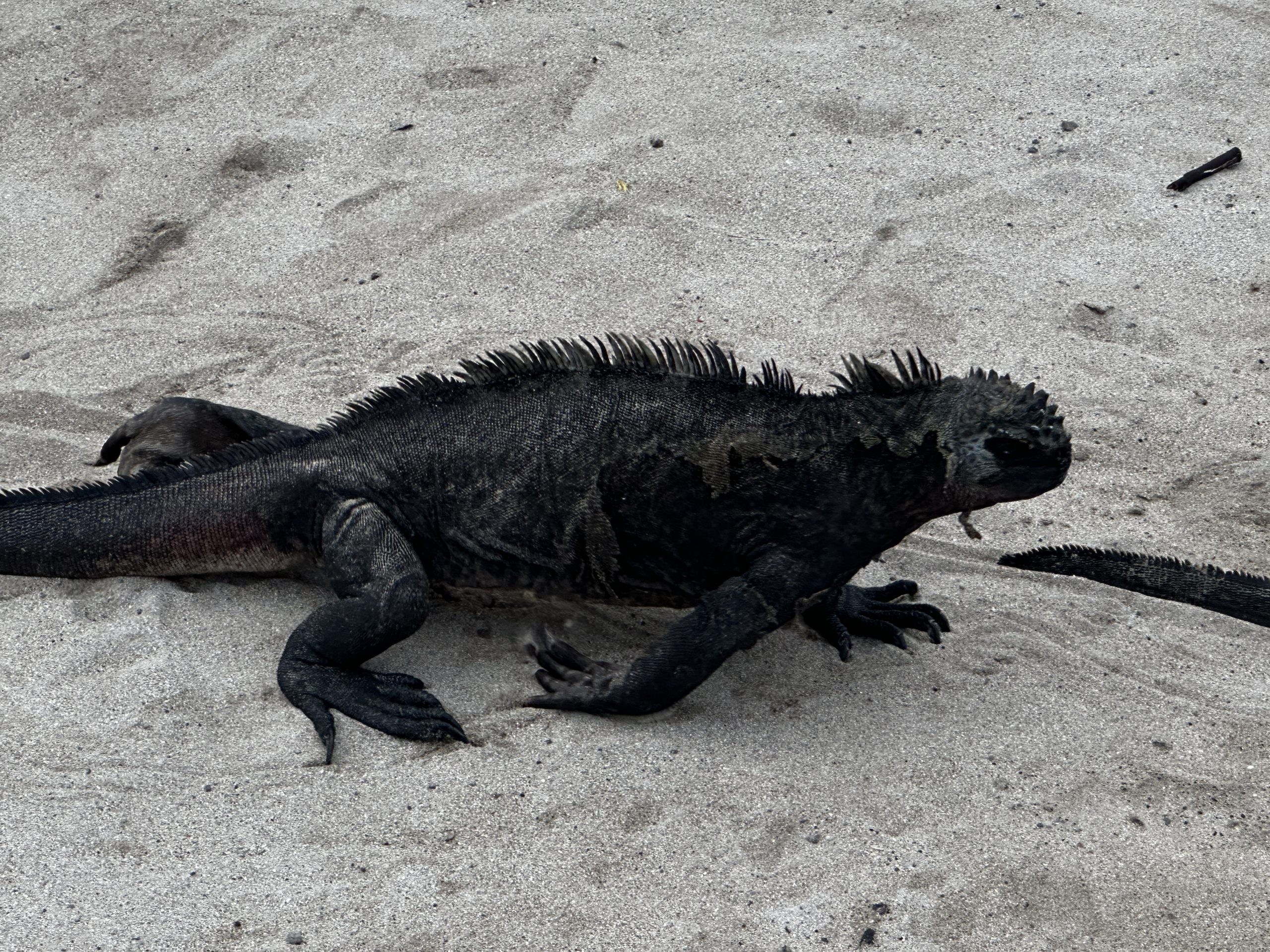 20240426_234213197_iOS