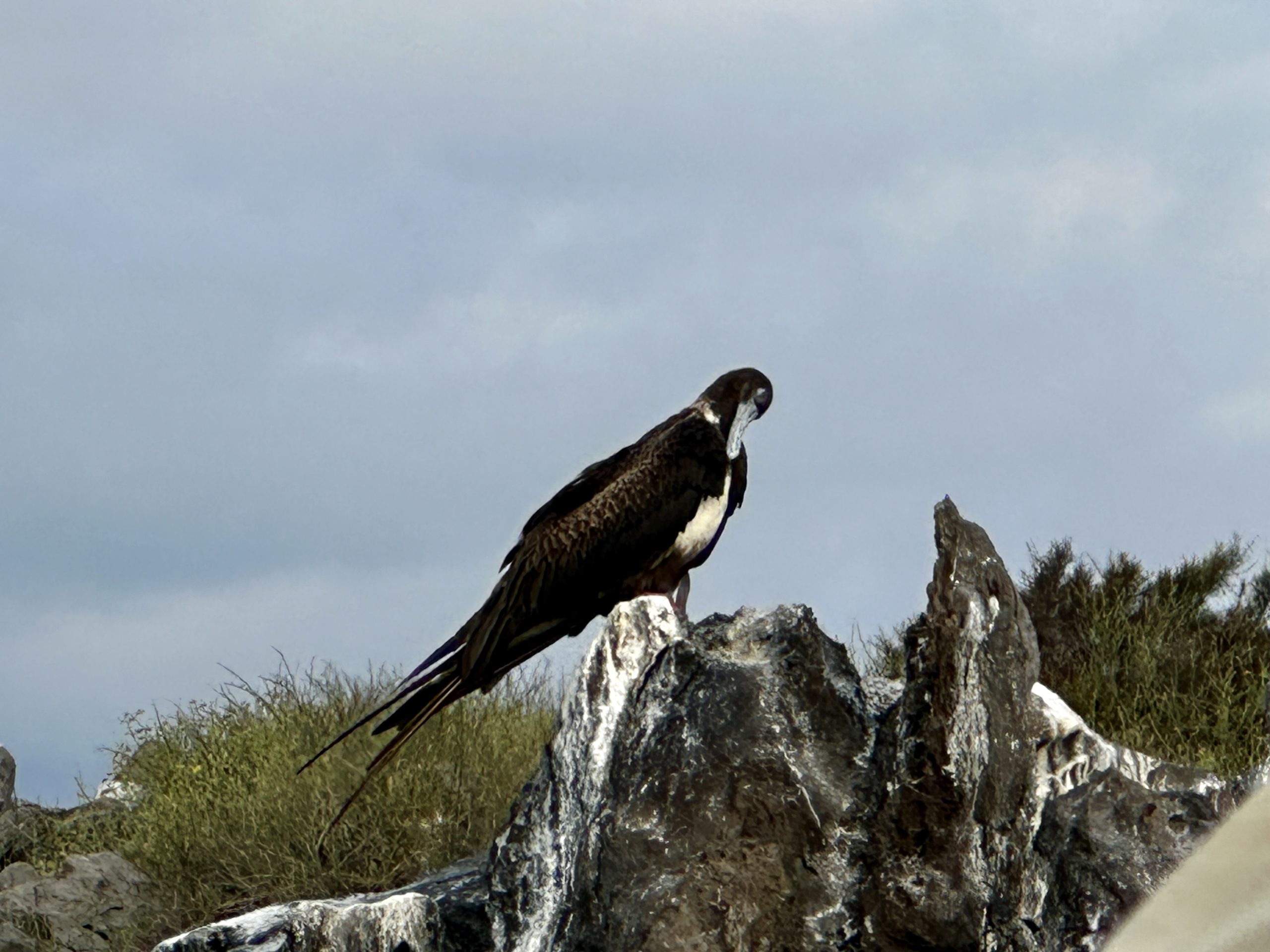 20240430_123642539_iOS 1