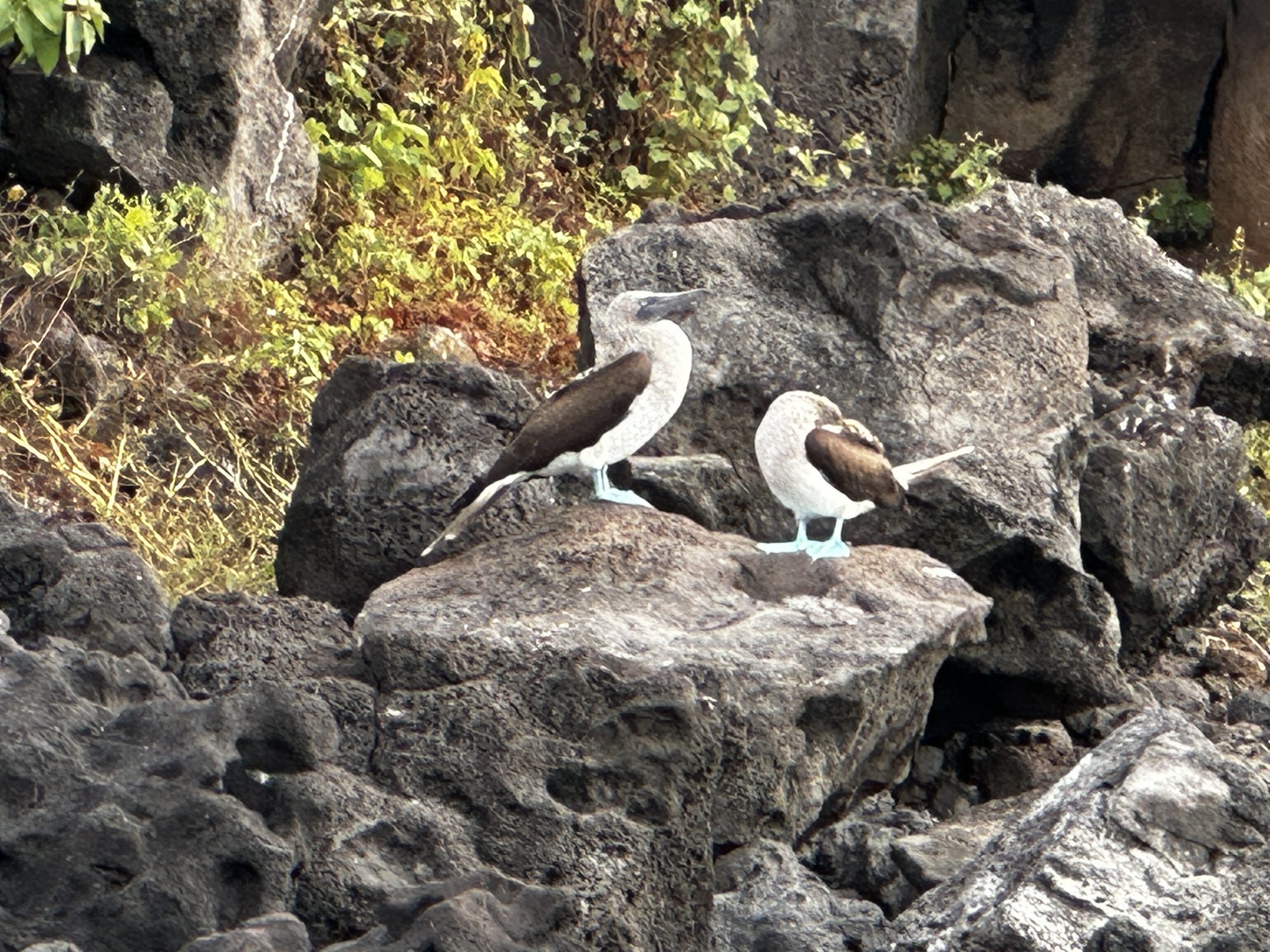 20240430_124804698_iOS