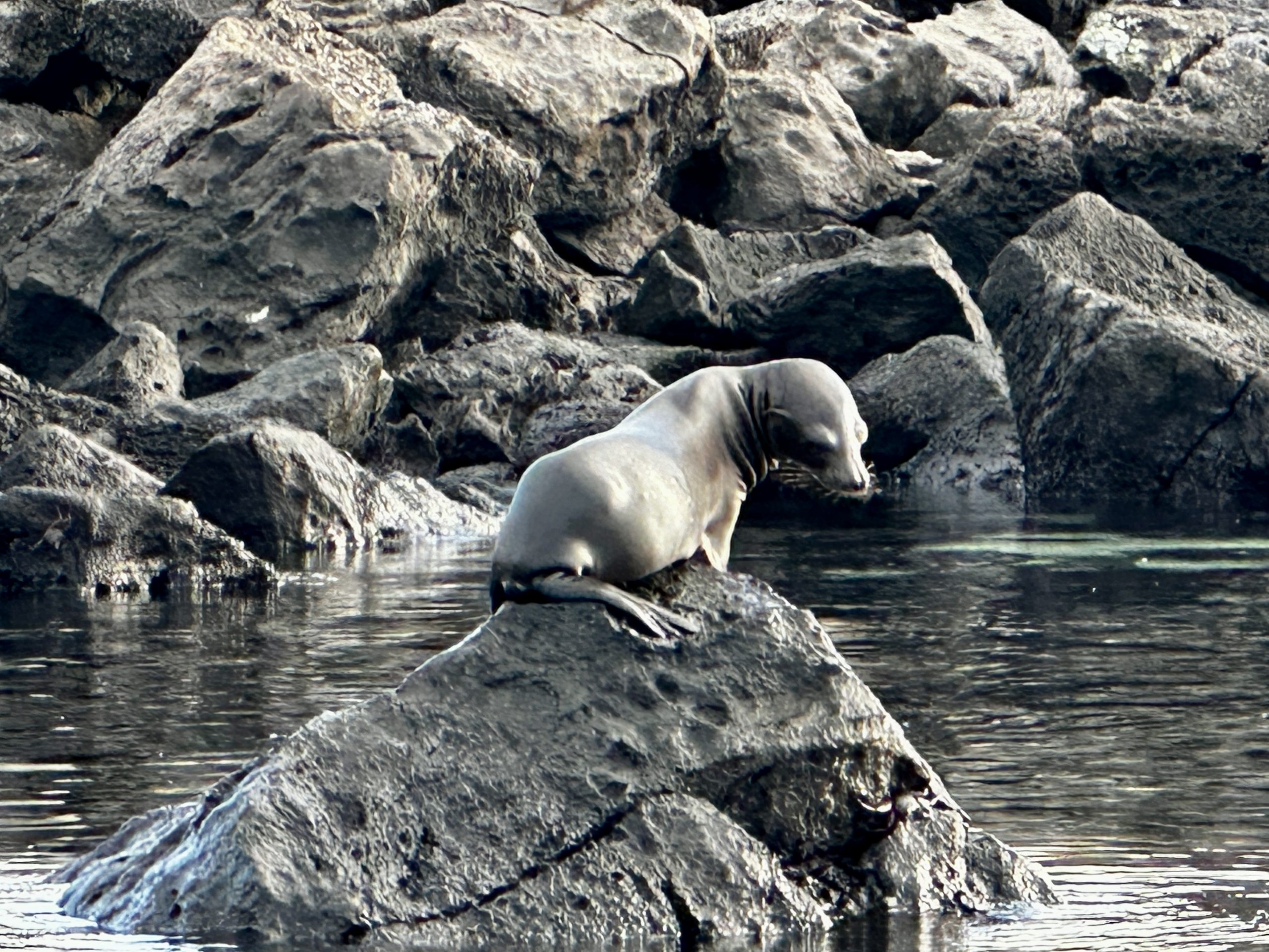 20240430_130628701_iOS