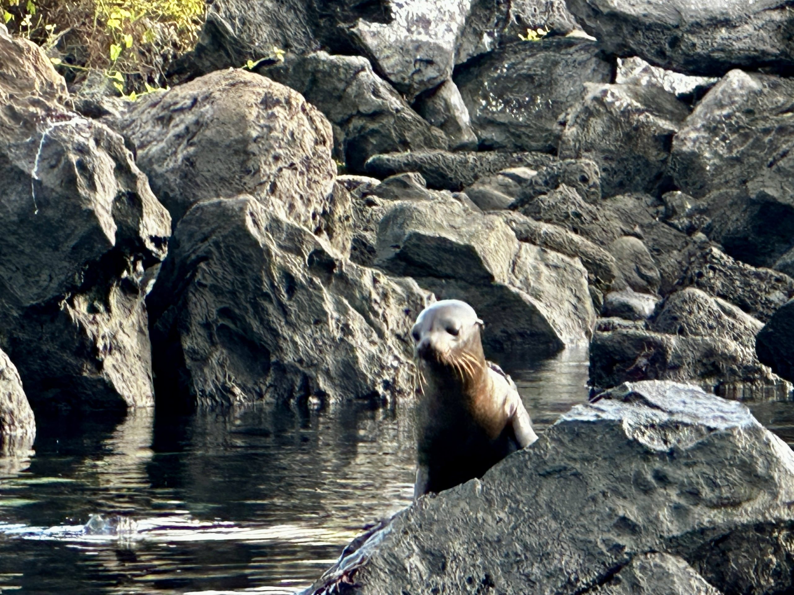 20240430_130635977_iOS