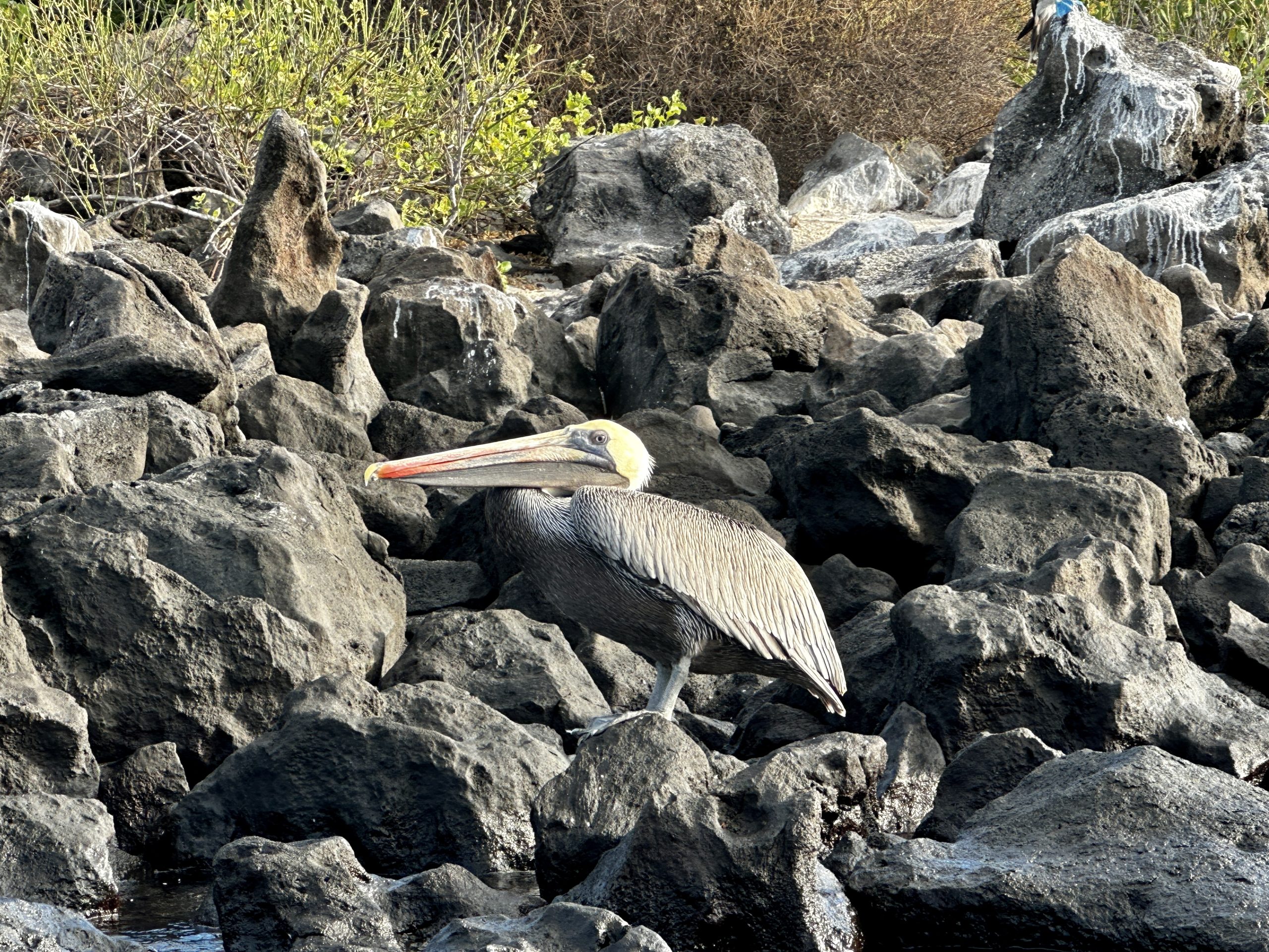 20240430_131255016_iOS