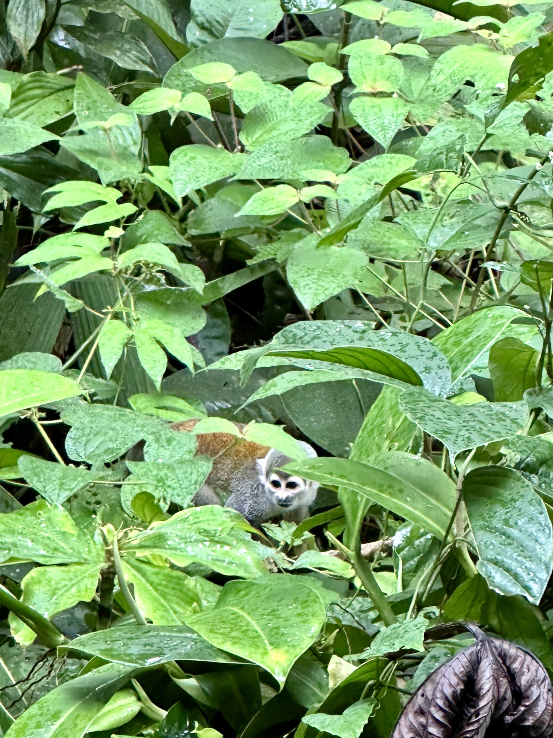 20240501_205533439_iOS