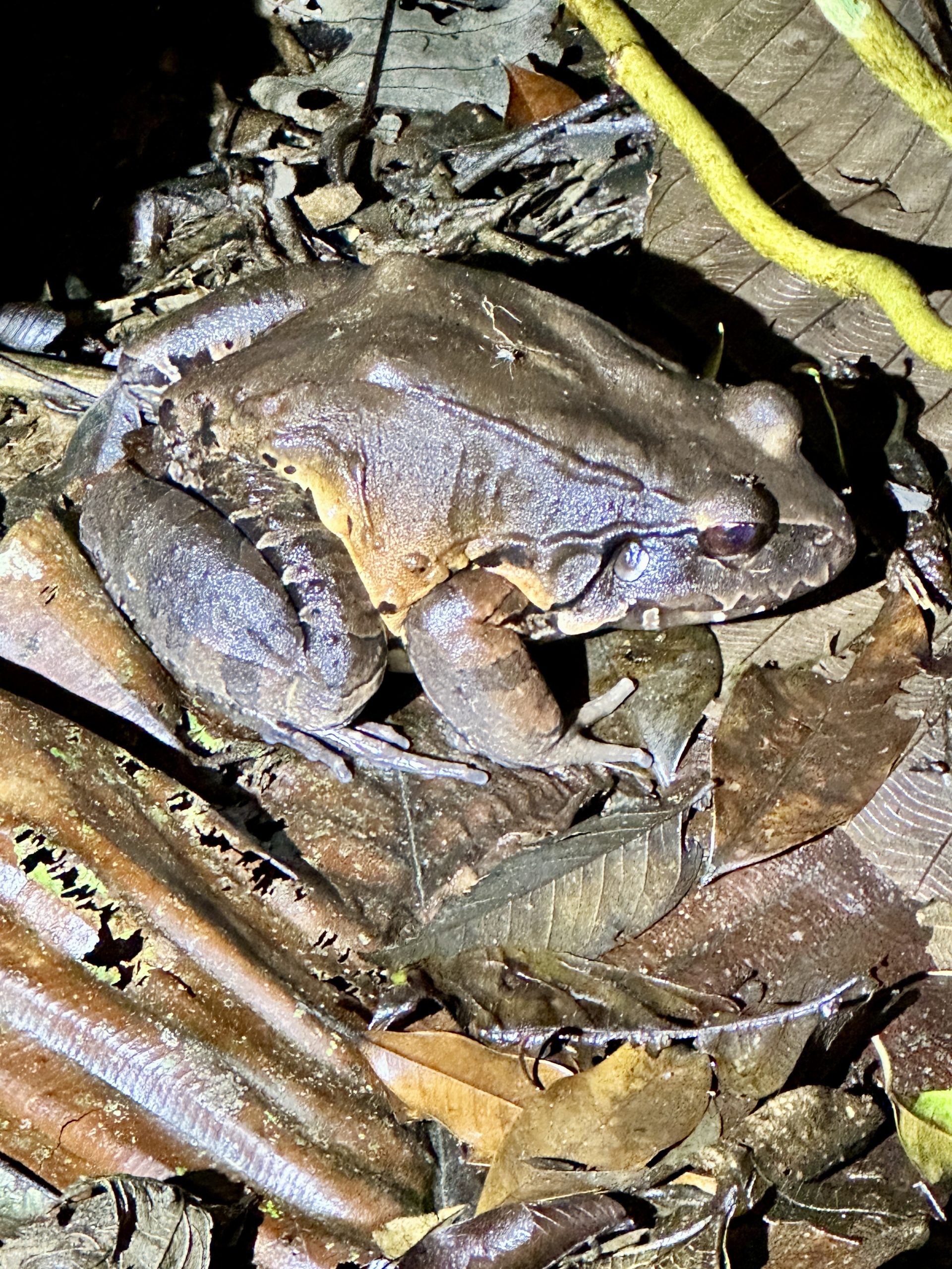 20240502_011753059_iOS