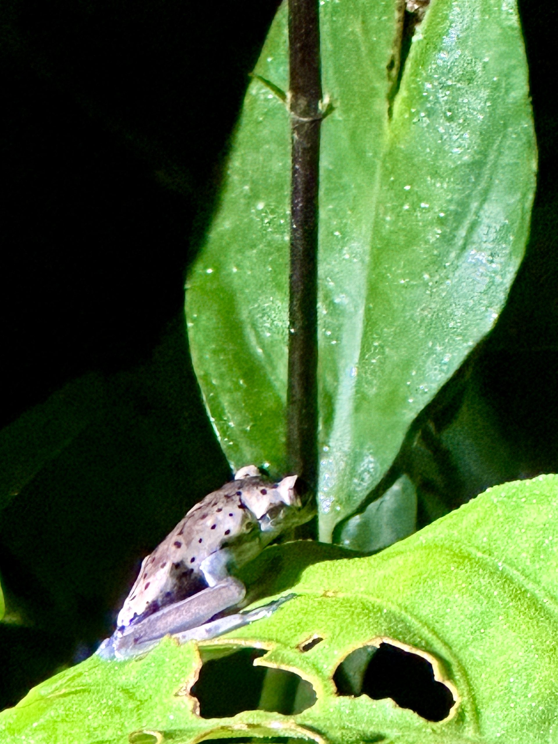 20240502_013318635_iOS