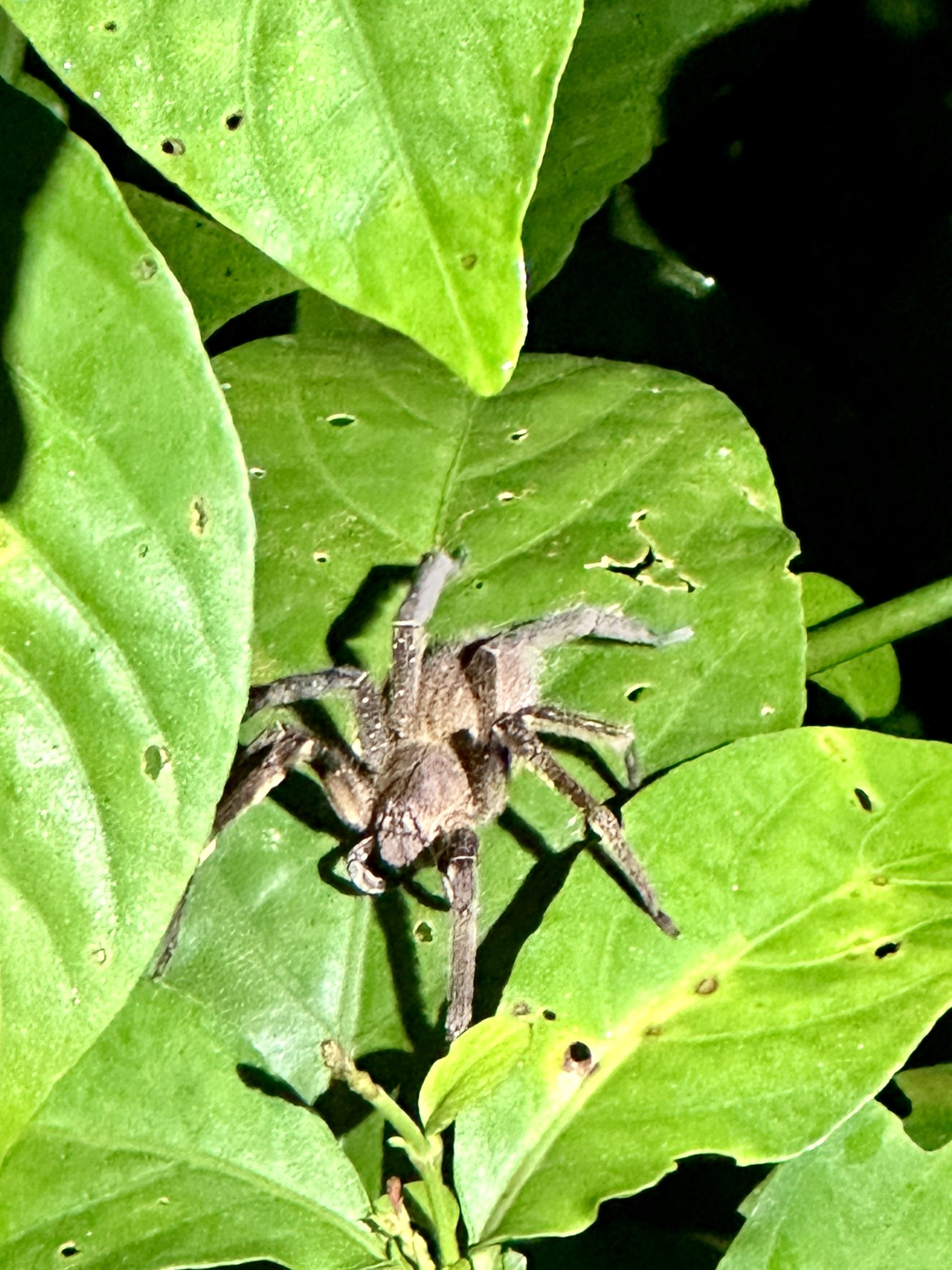 20240502_013419972_iOS