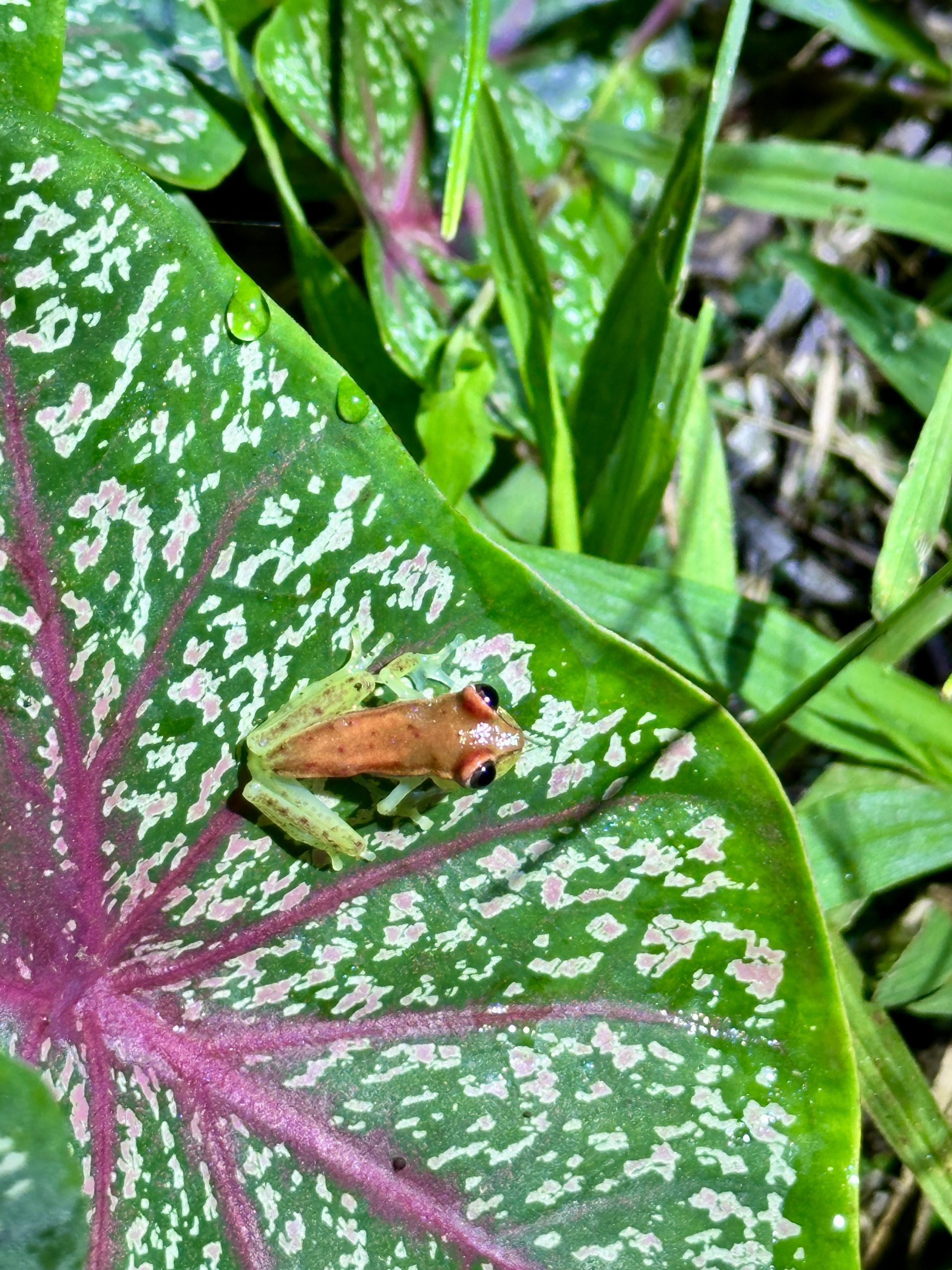 20240502_014524263_iOS