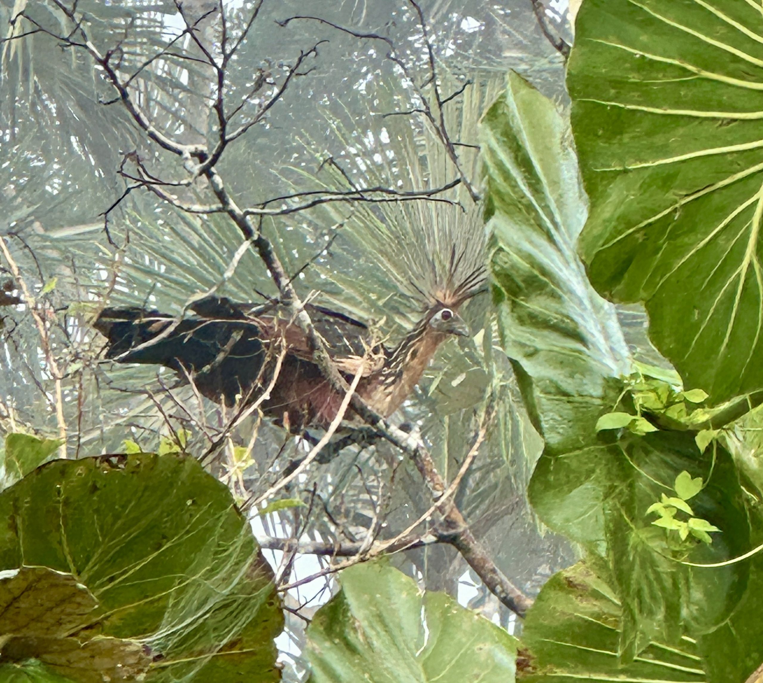 20240502_115154019_iOS