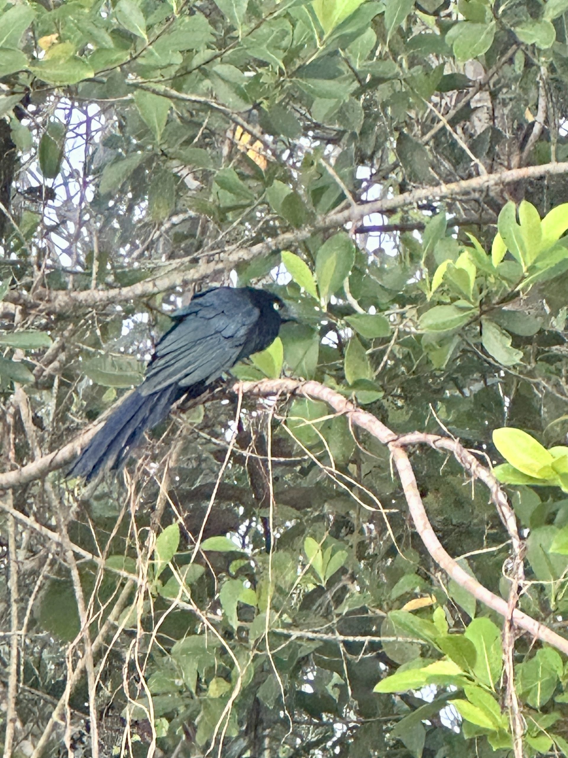 20240502_115504427_iOS