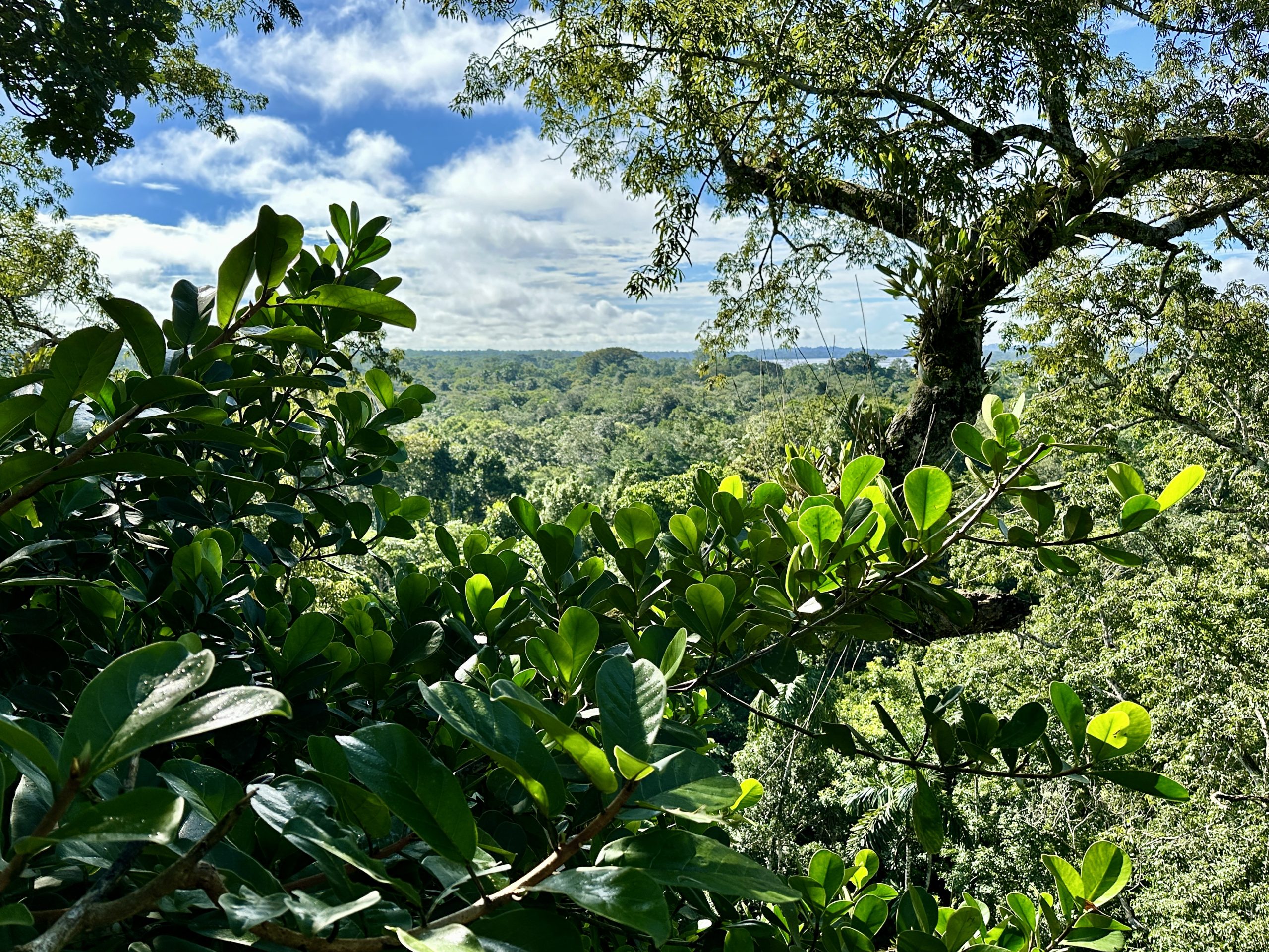 20240502_132617613_iOS