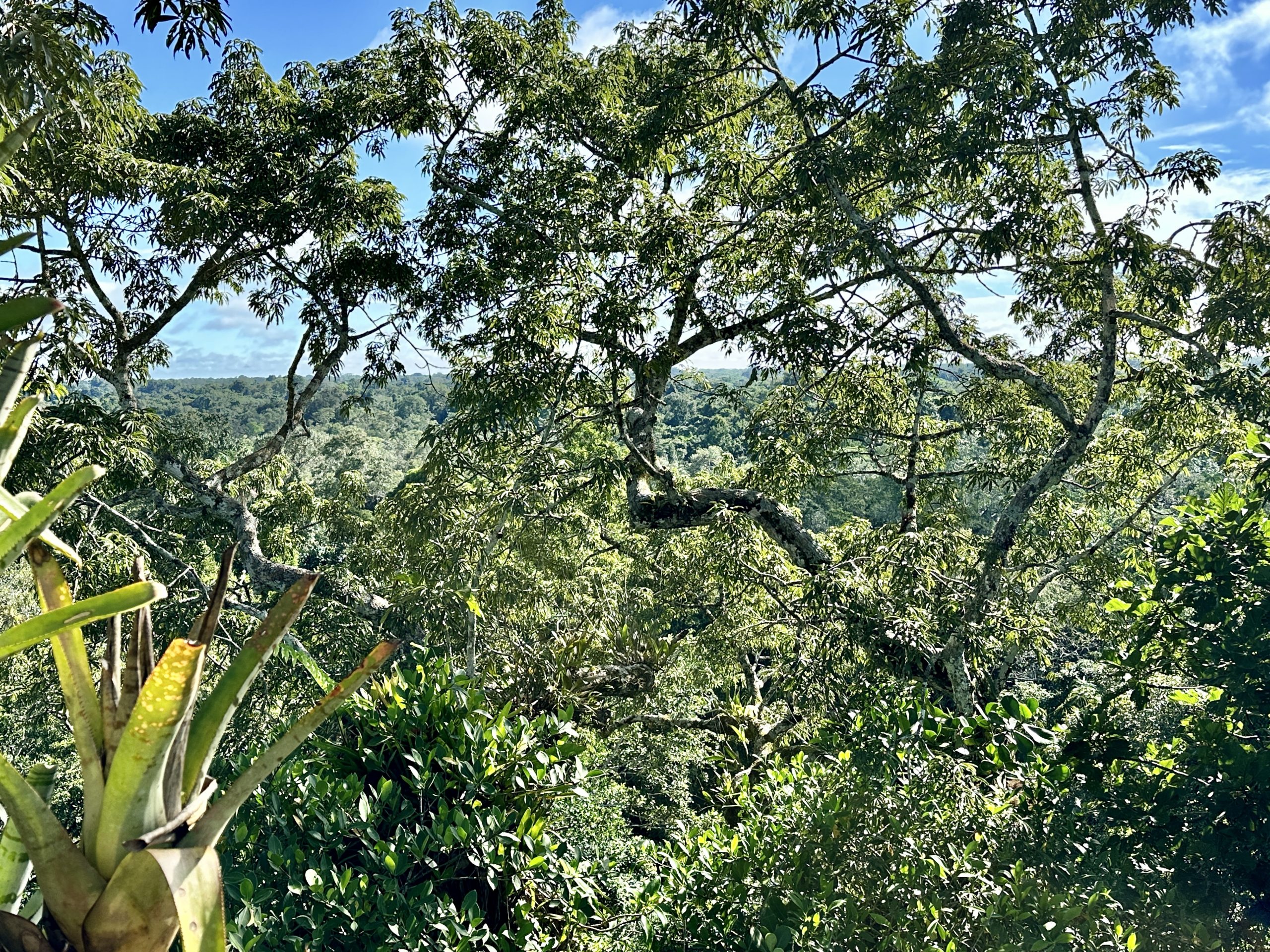 20240502_133541777_iOS