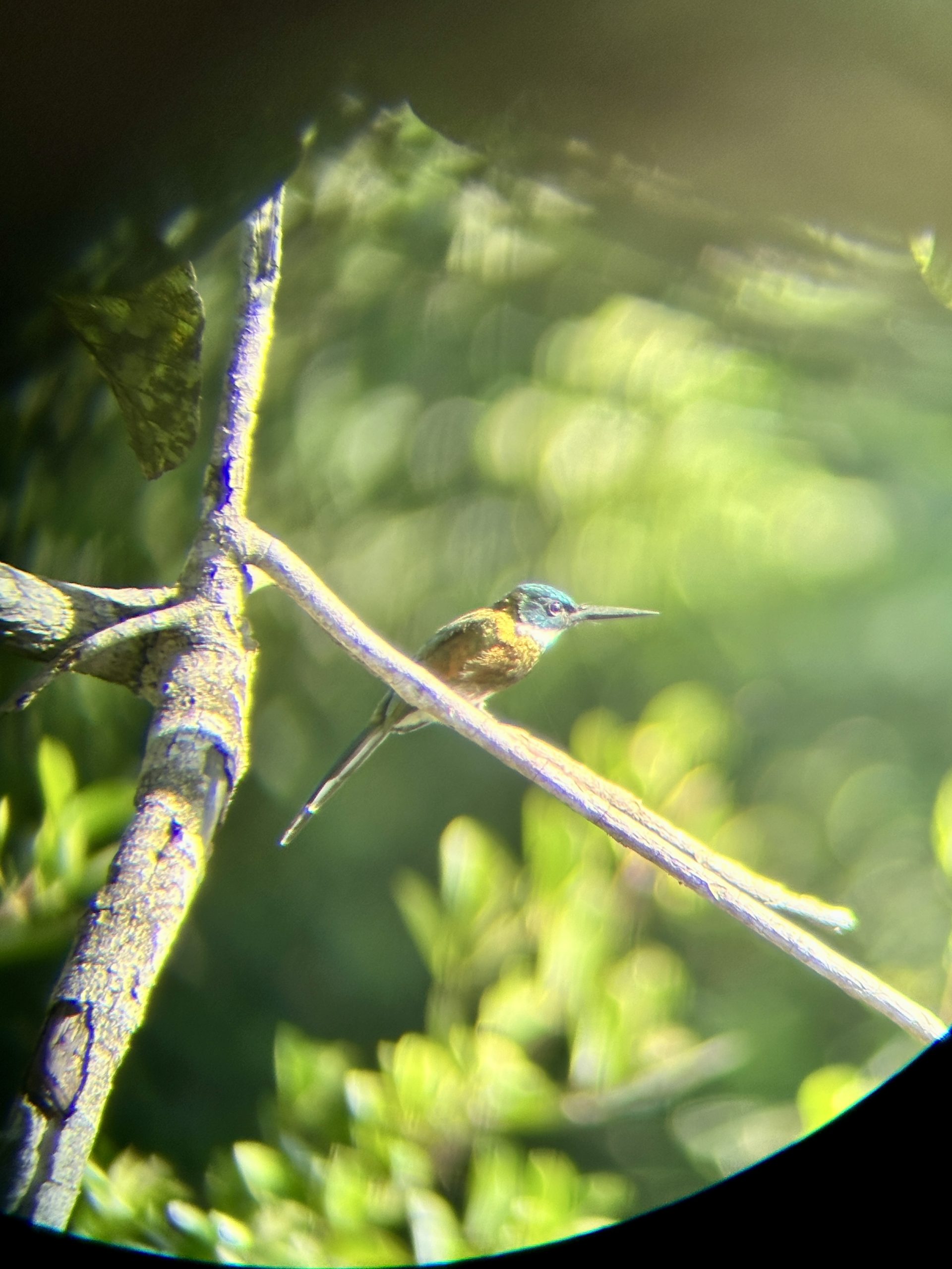 20240502_133900053_iOS