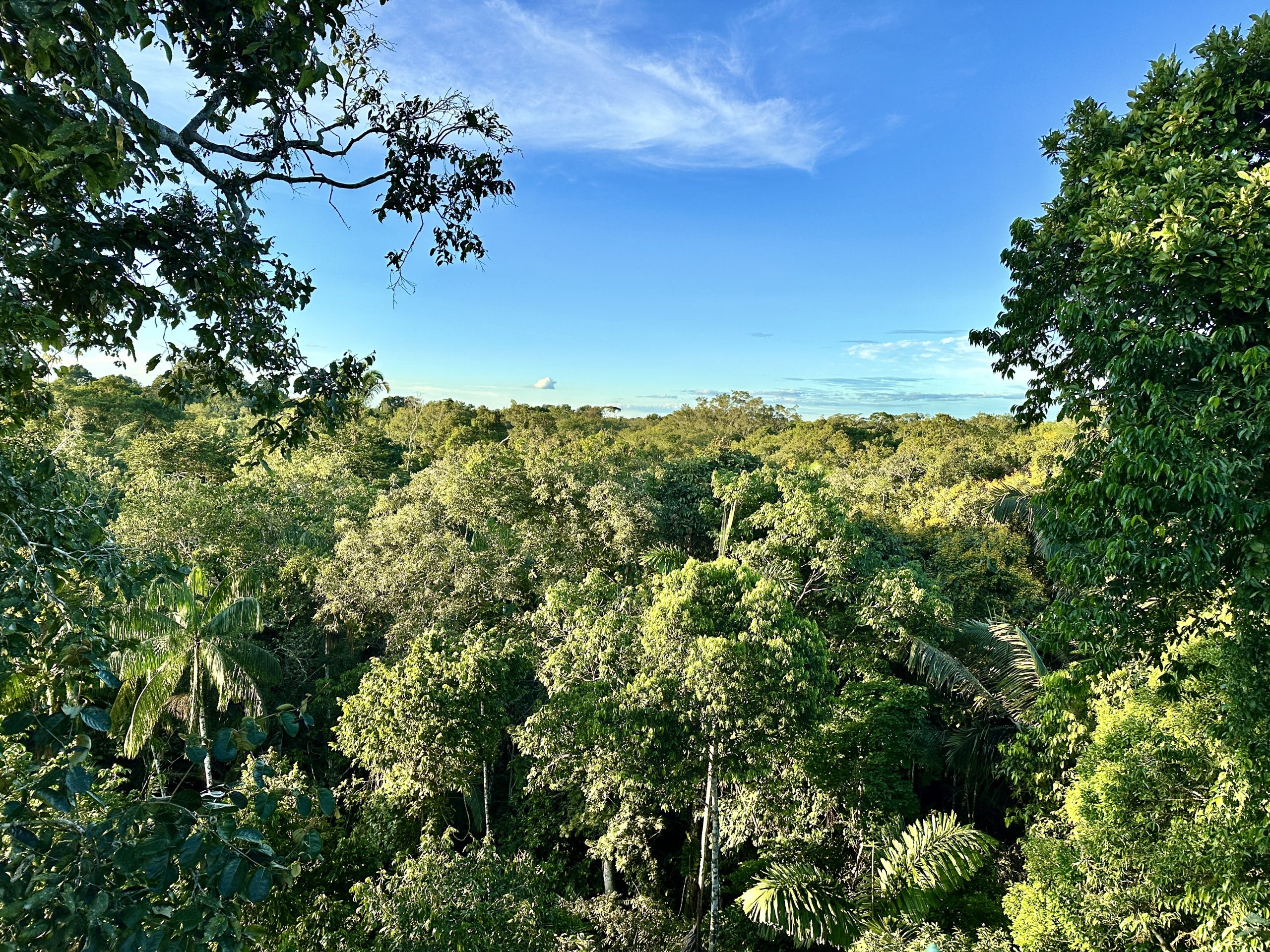 20240502_223120716_iOS