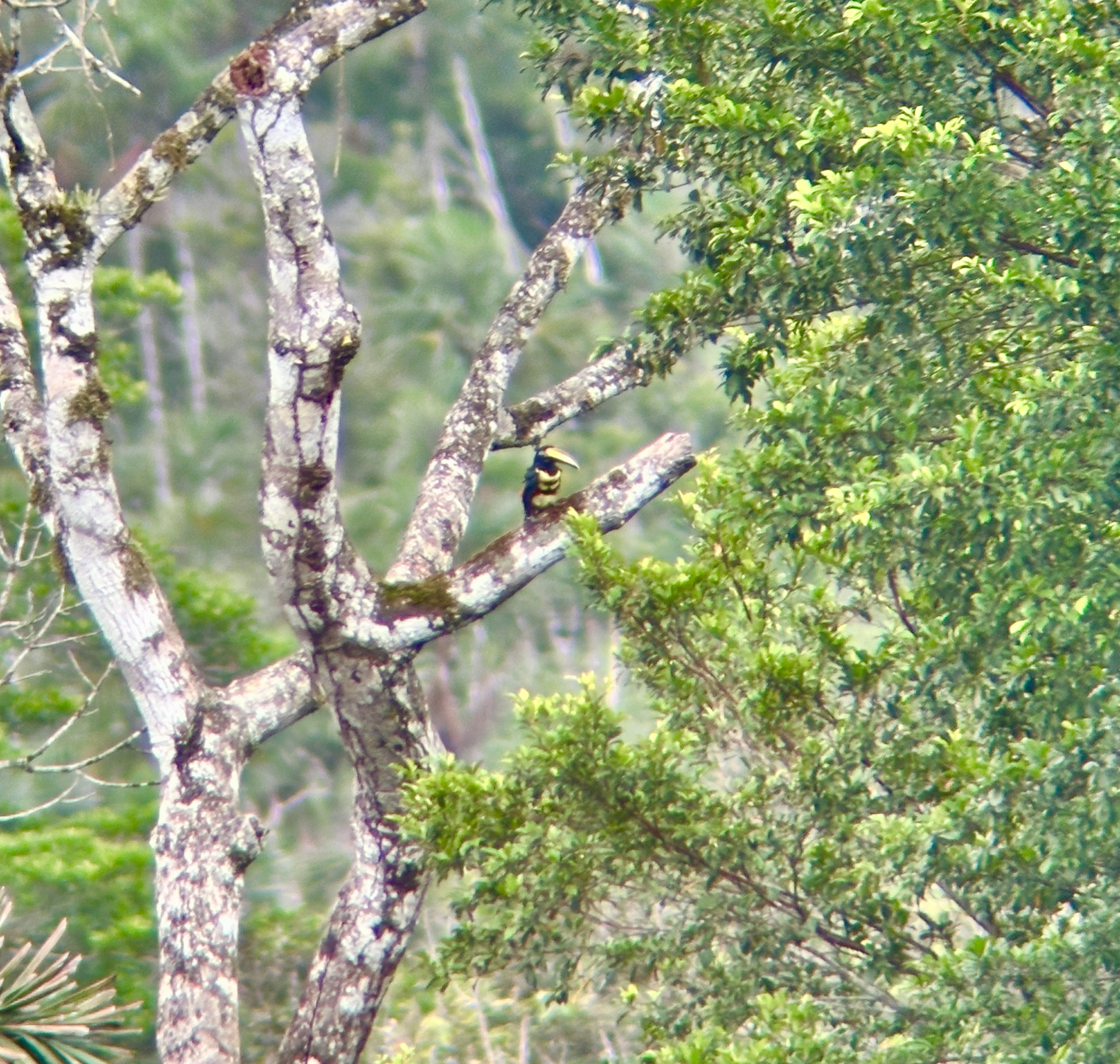 20240503_114503669_iOS 1