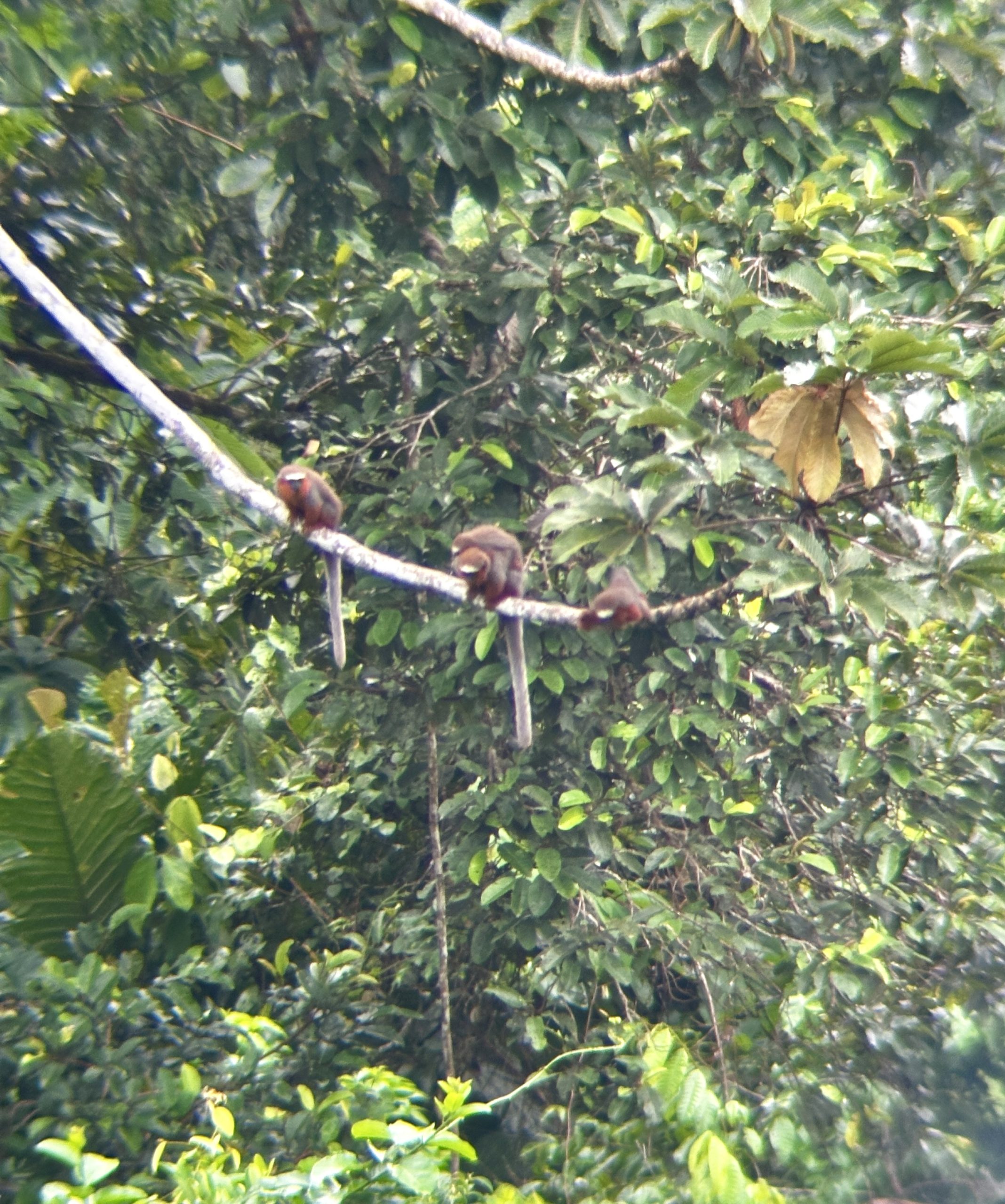 20240503_123907262_iOS 1