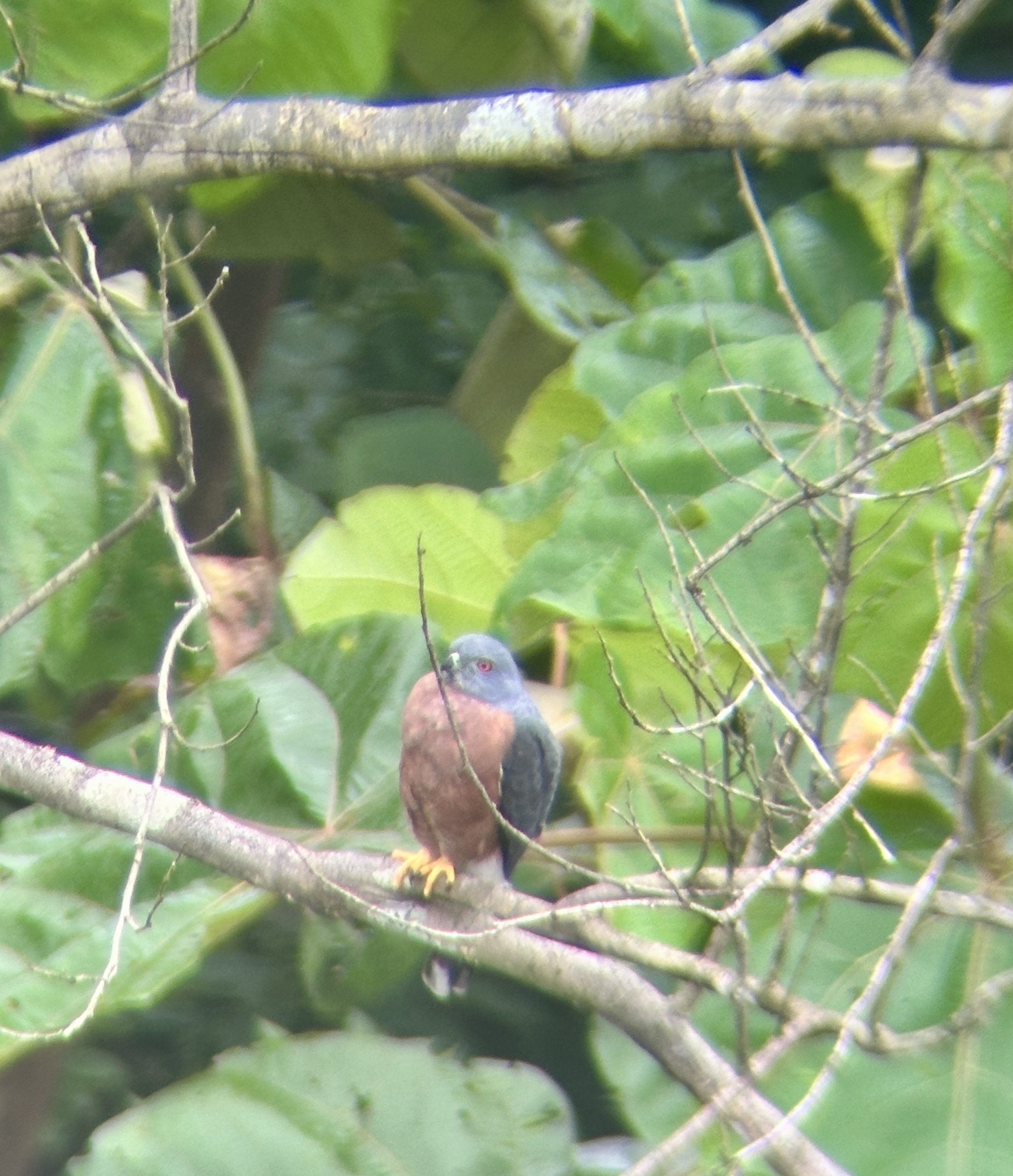 20240503_125704383_iOS 1