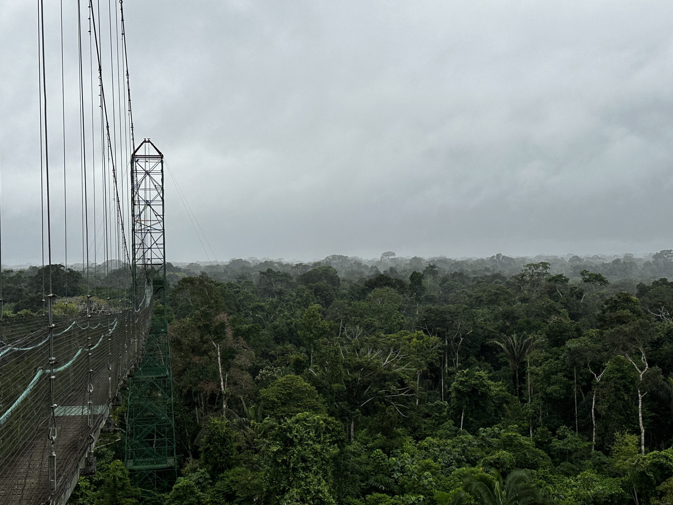 20240503_130201647_iOS