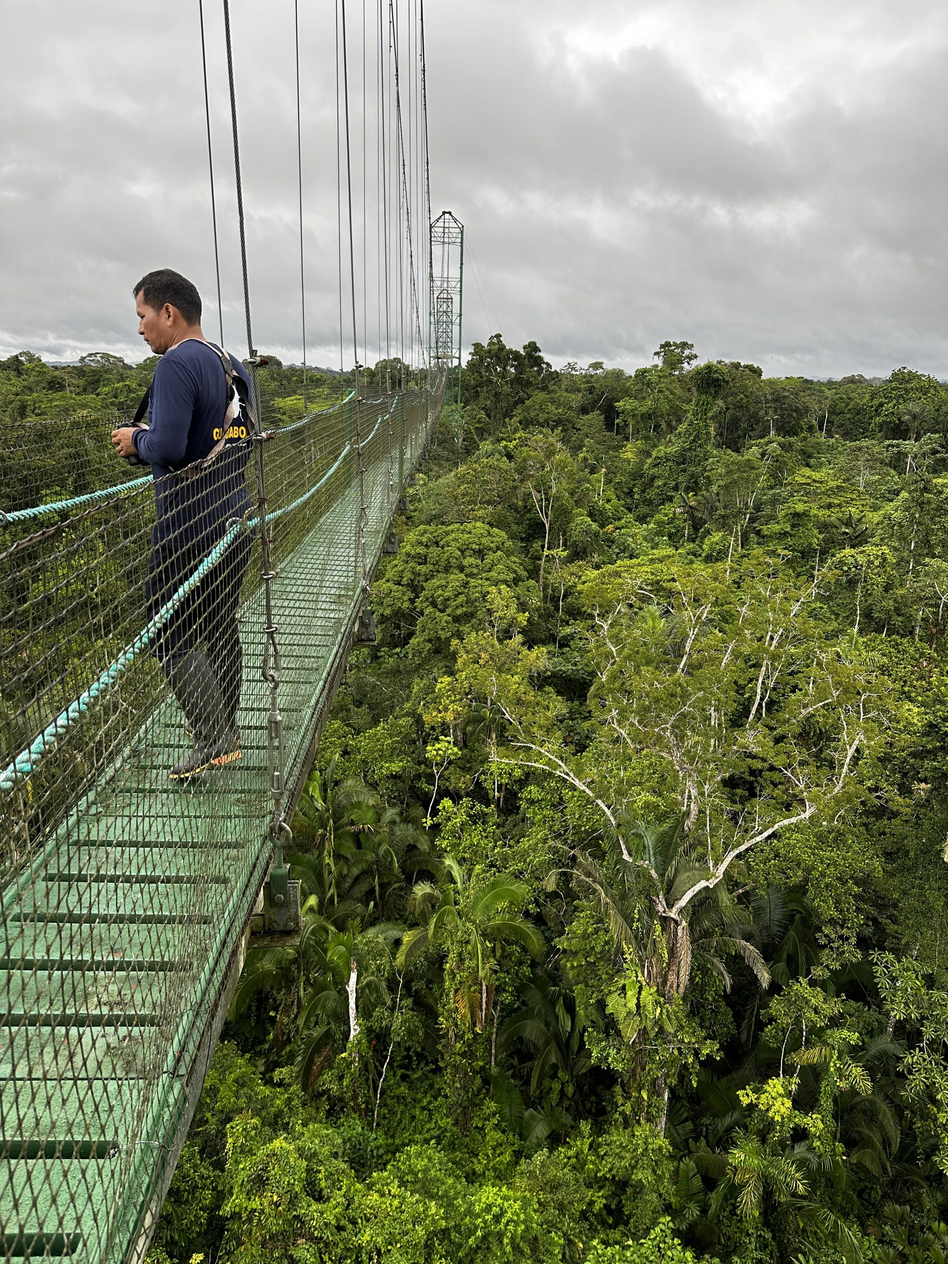 20240503_133657765_iOS