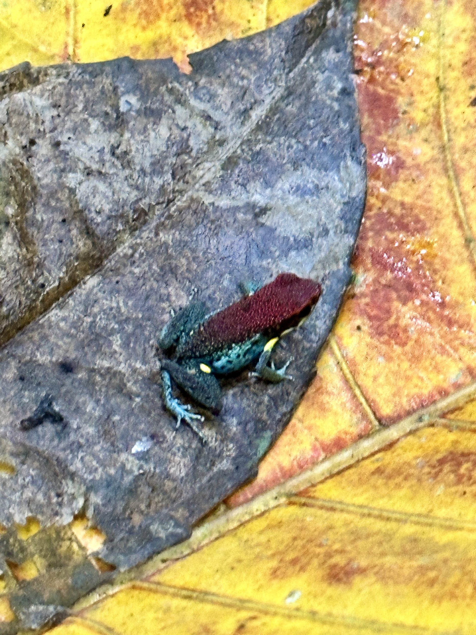 20240503_151211059_iOS