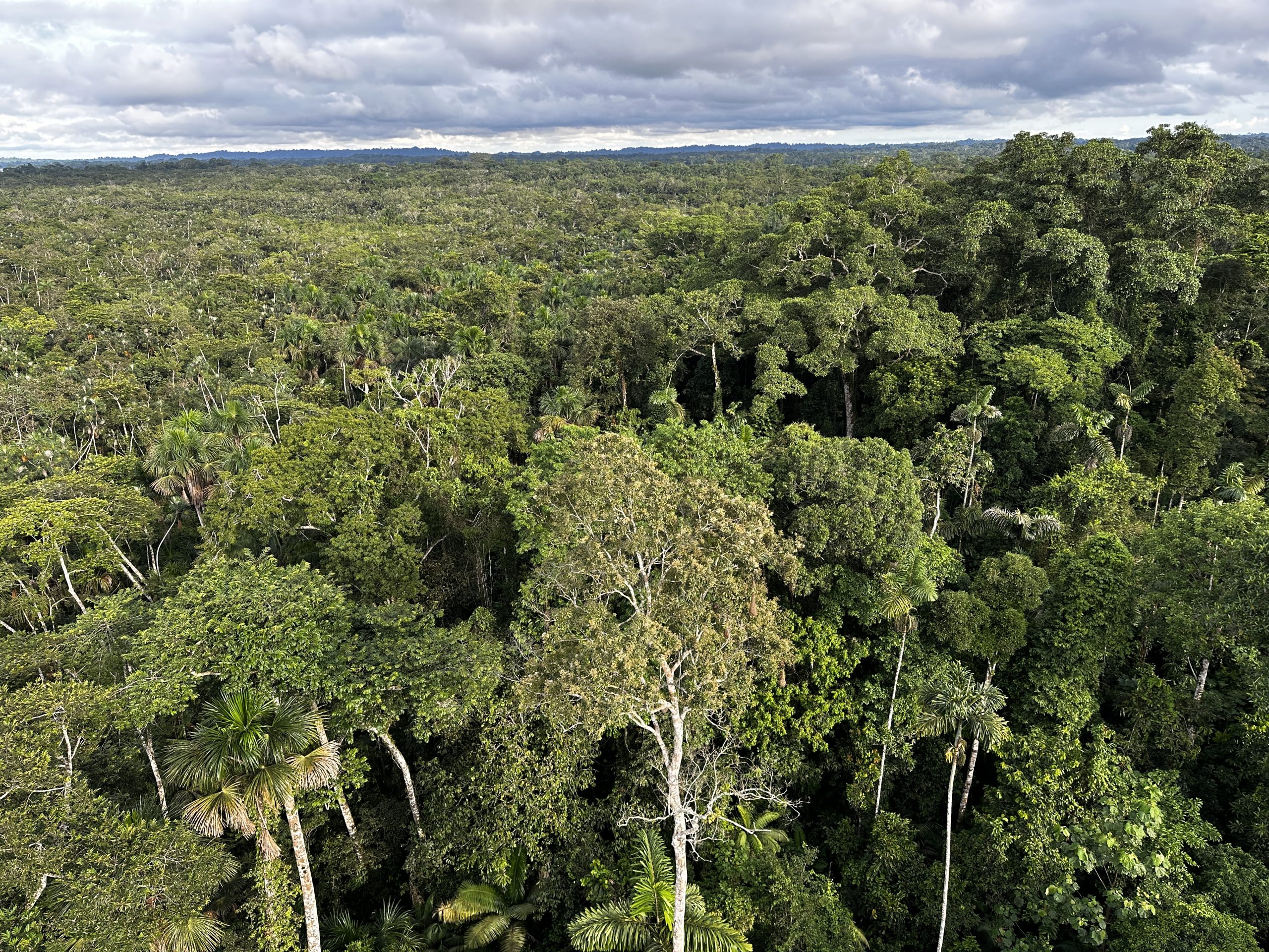 20240503_212524769_iOS