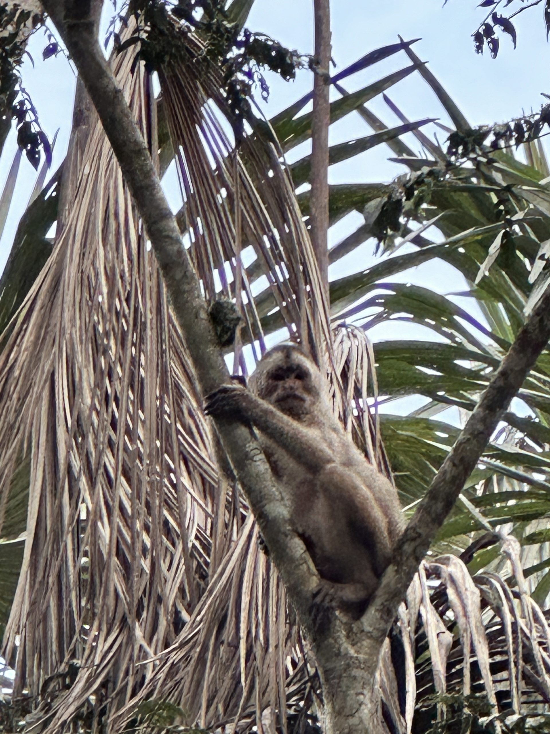 20240503_221116881_iOS