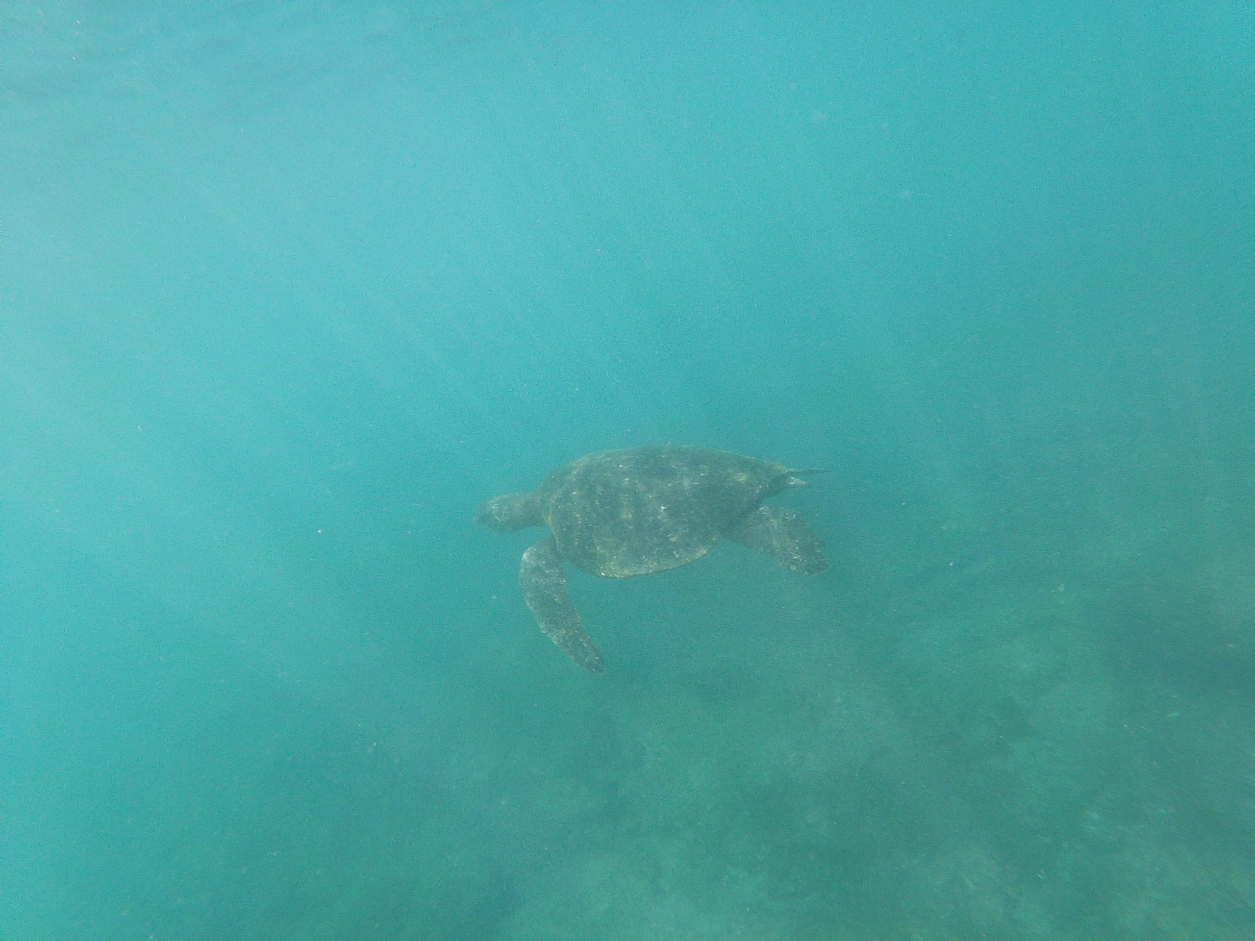 t/sdcard/DCIM/100GOPRO/GOPR0680