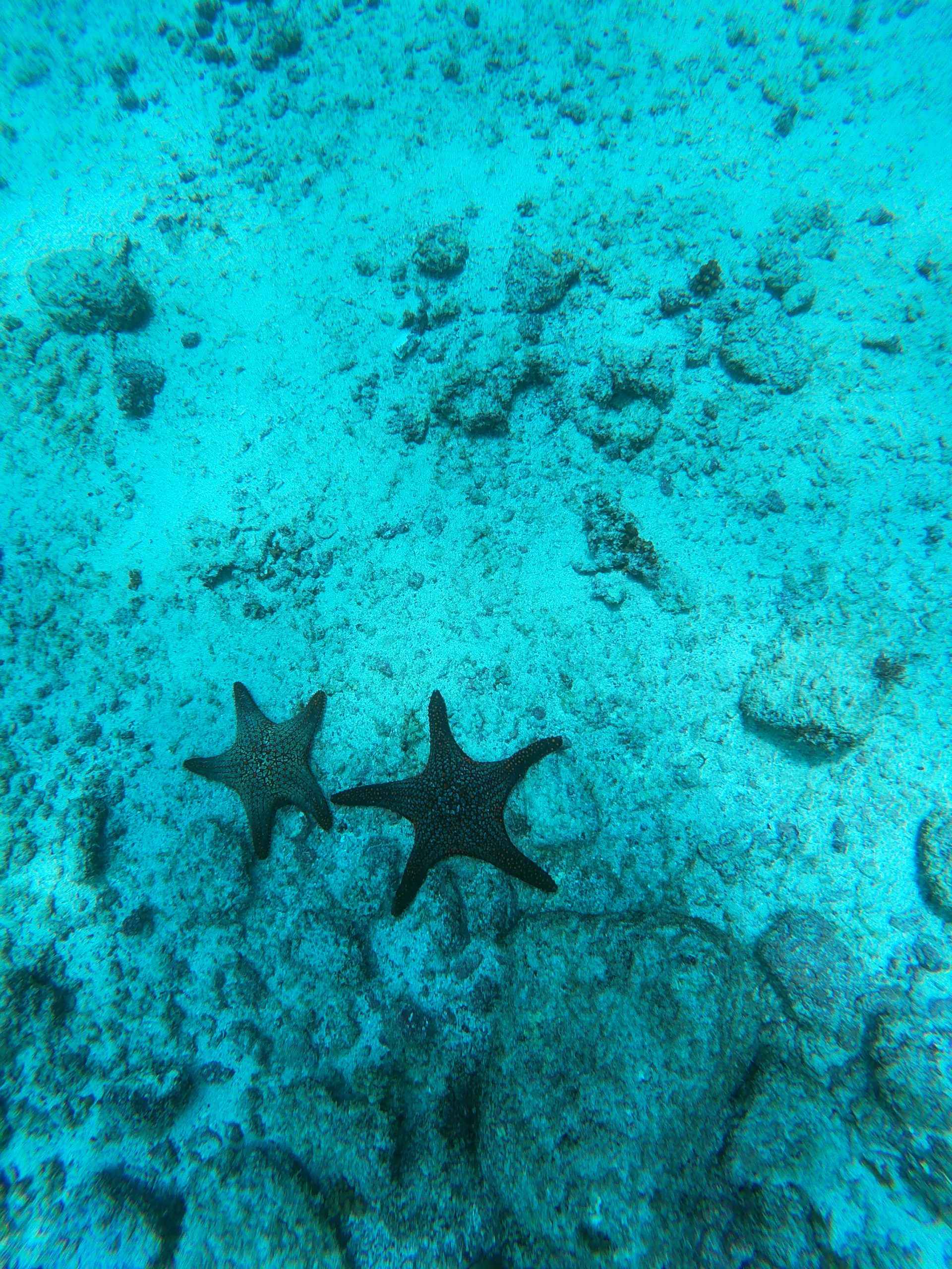 t/sdcard/DCIM/100GOPRO/GOPR0775