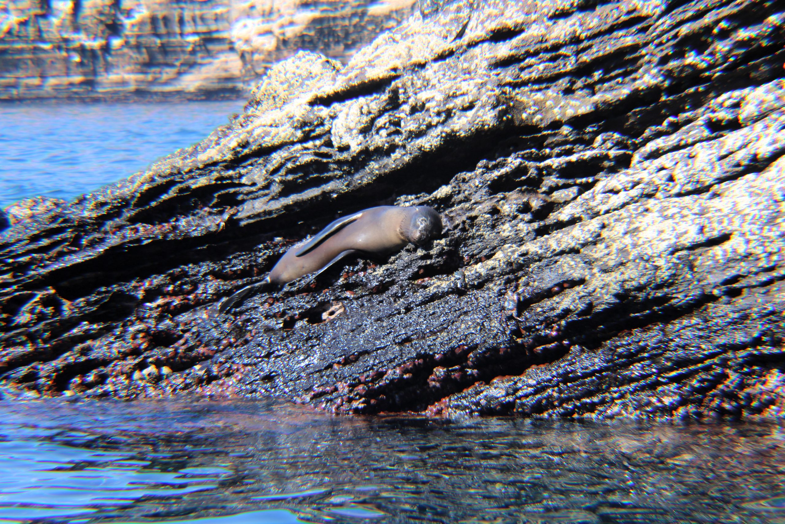 Lounge Life and Origin Stories