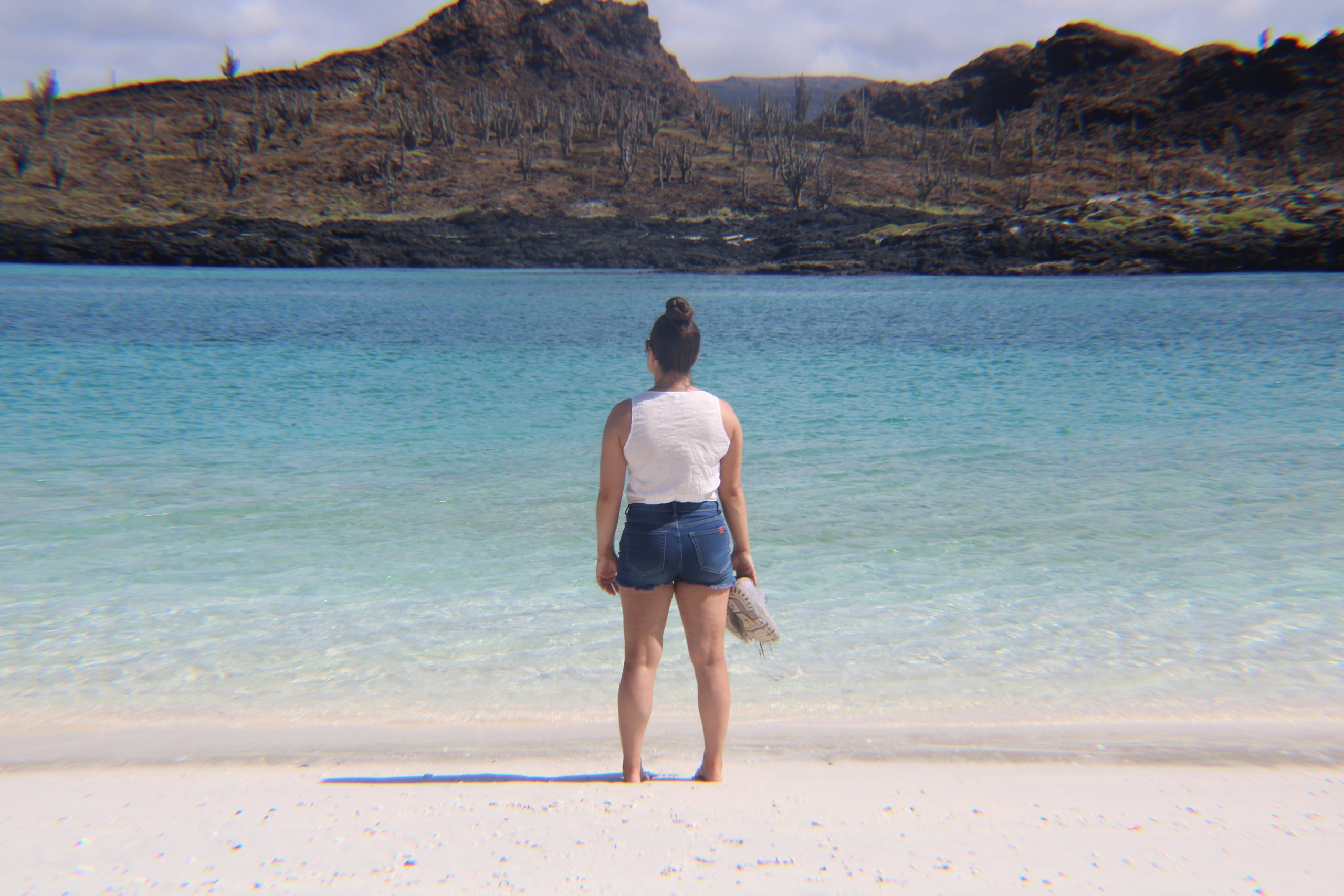 Starting a New Adventure