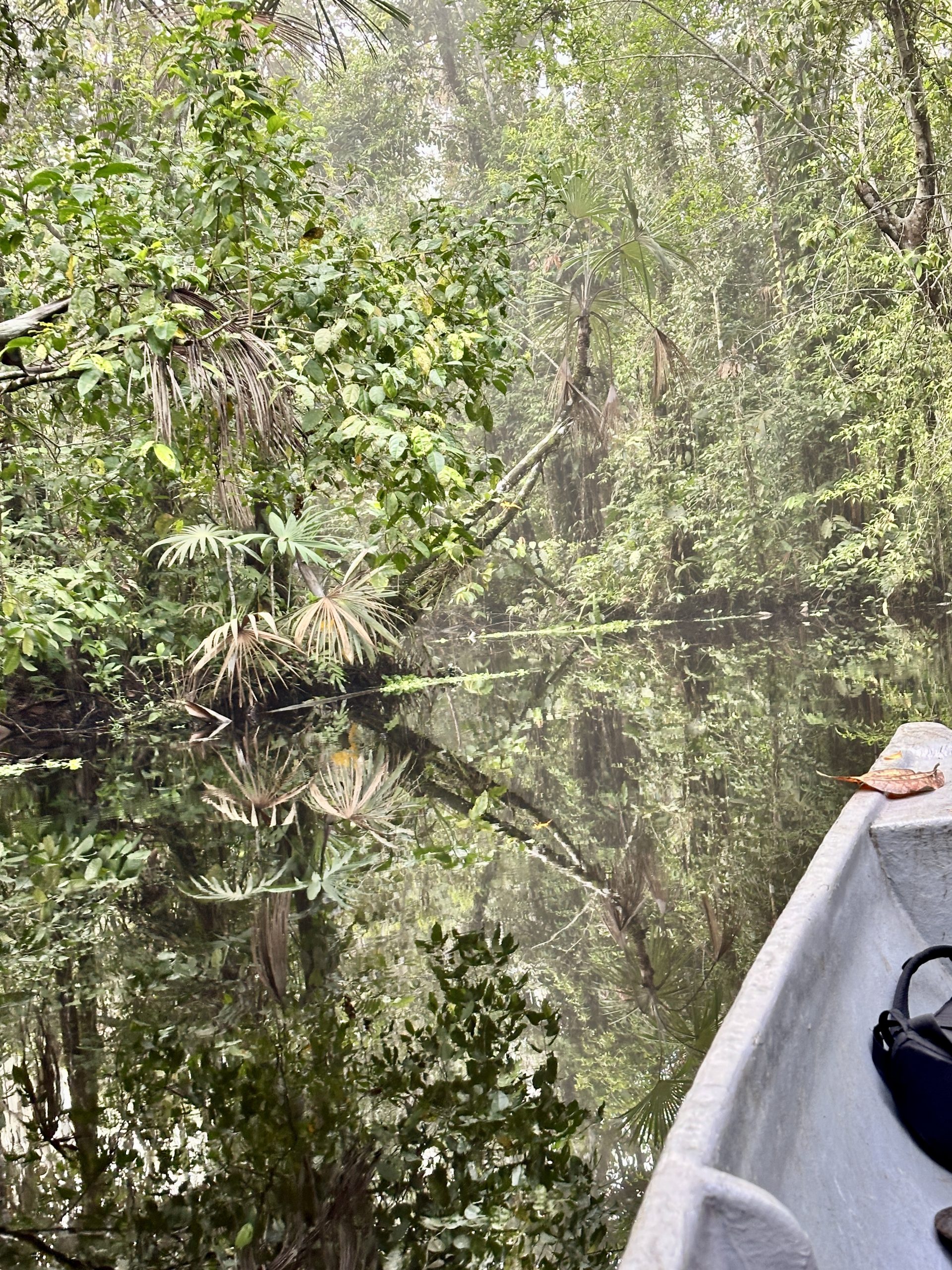 20240502_121222666_iOS