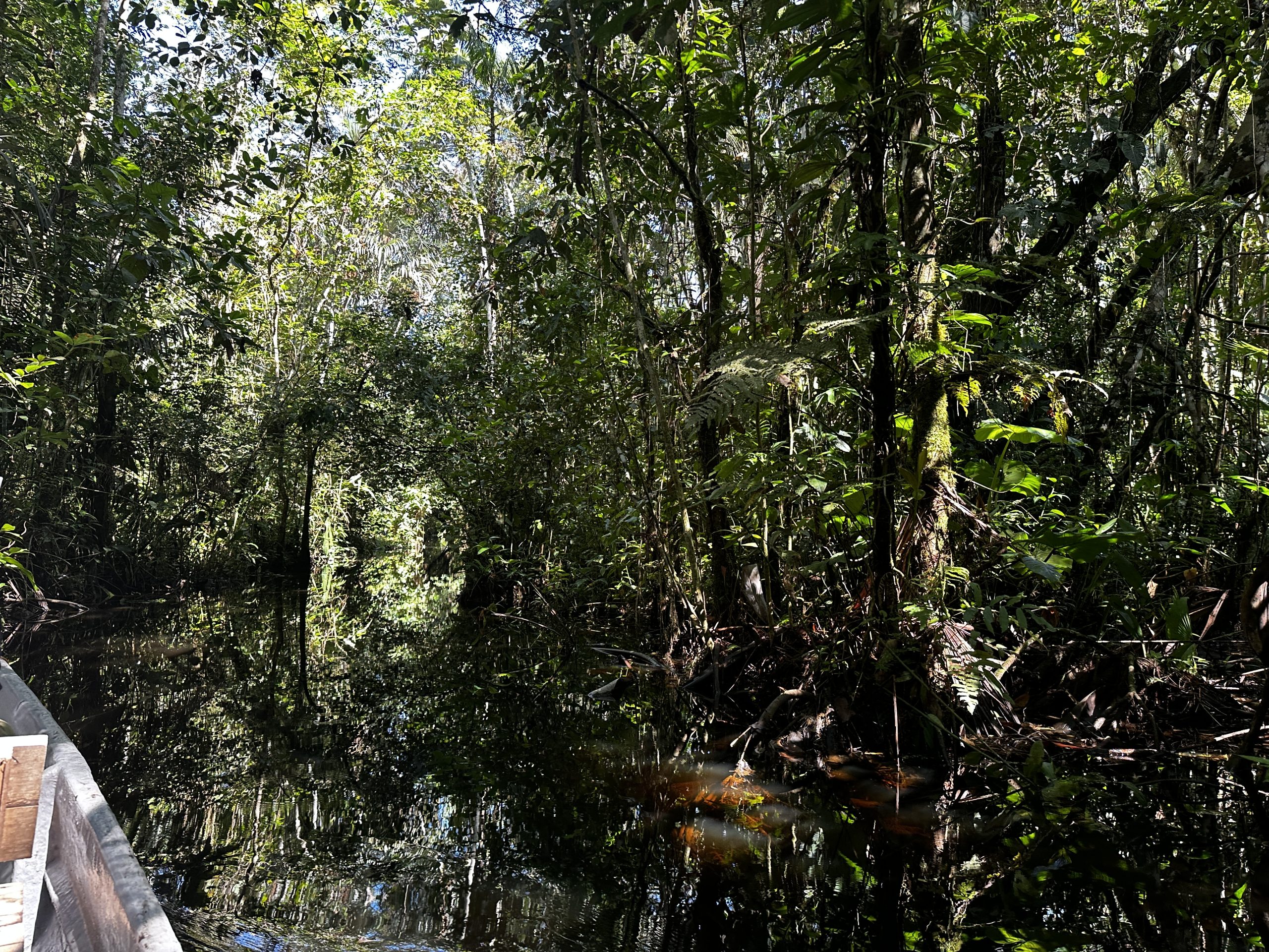 20240502_144542018_iOS