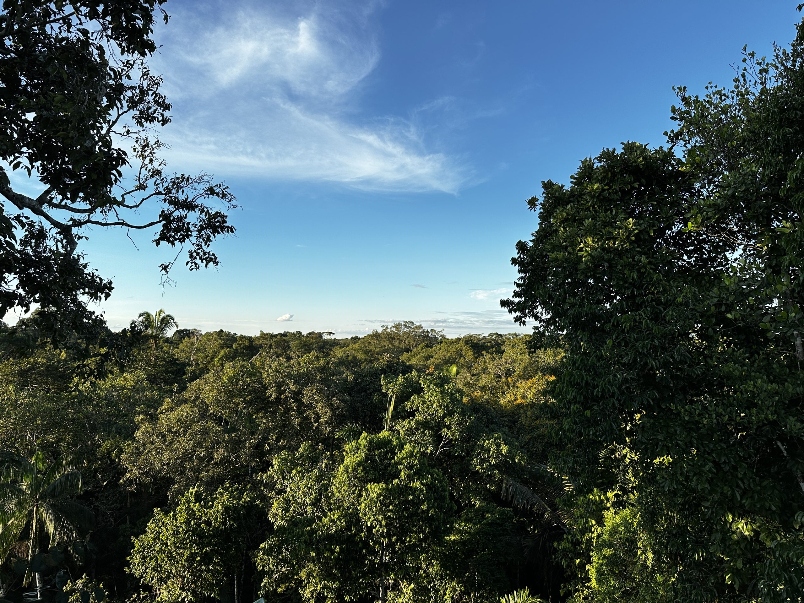 20240502_223322522_iOS