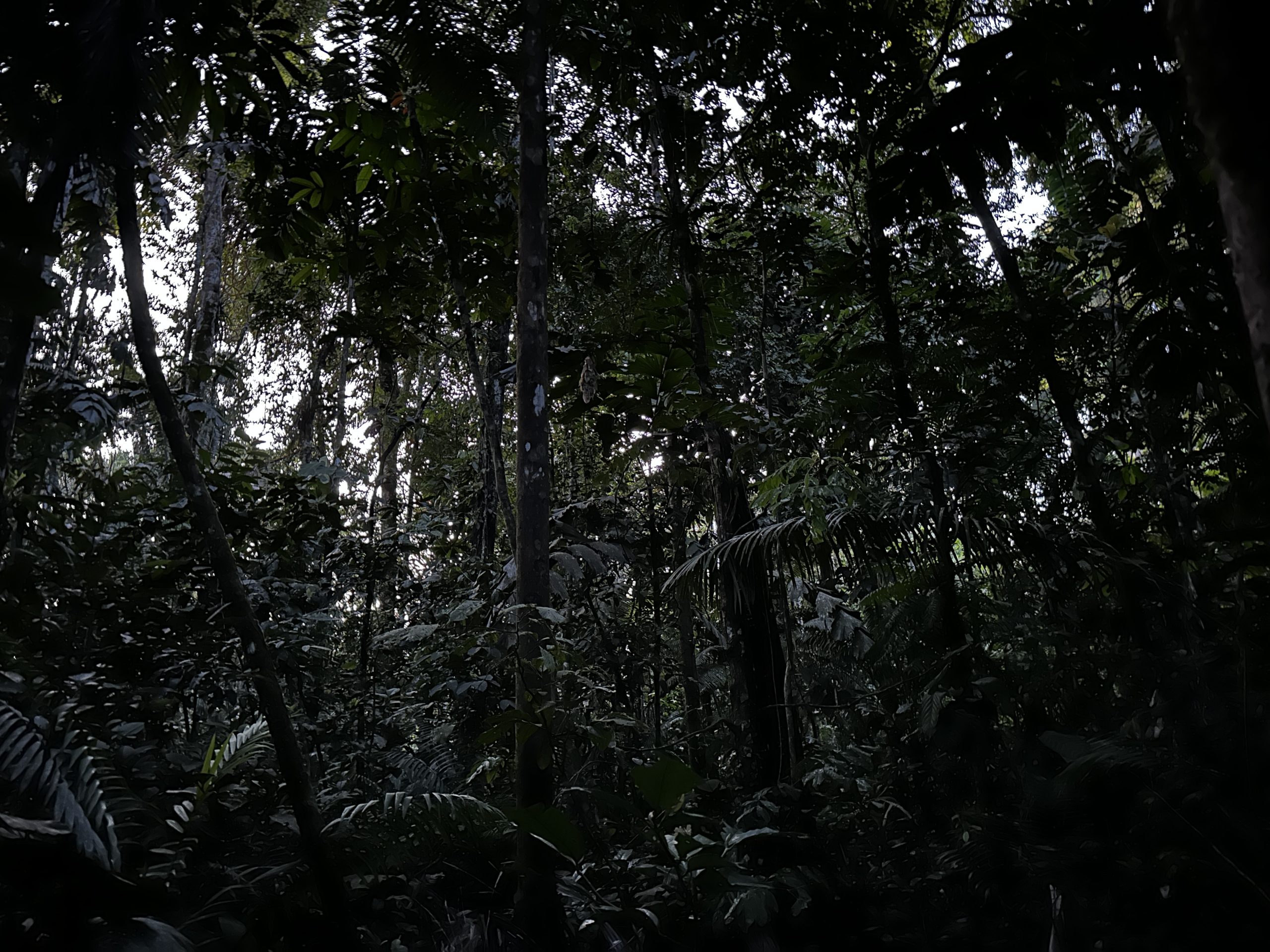 20240502_231013569_iOS