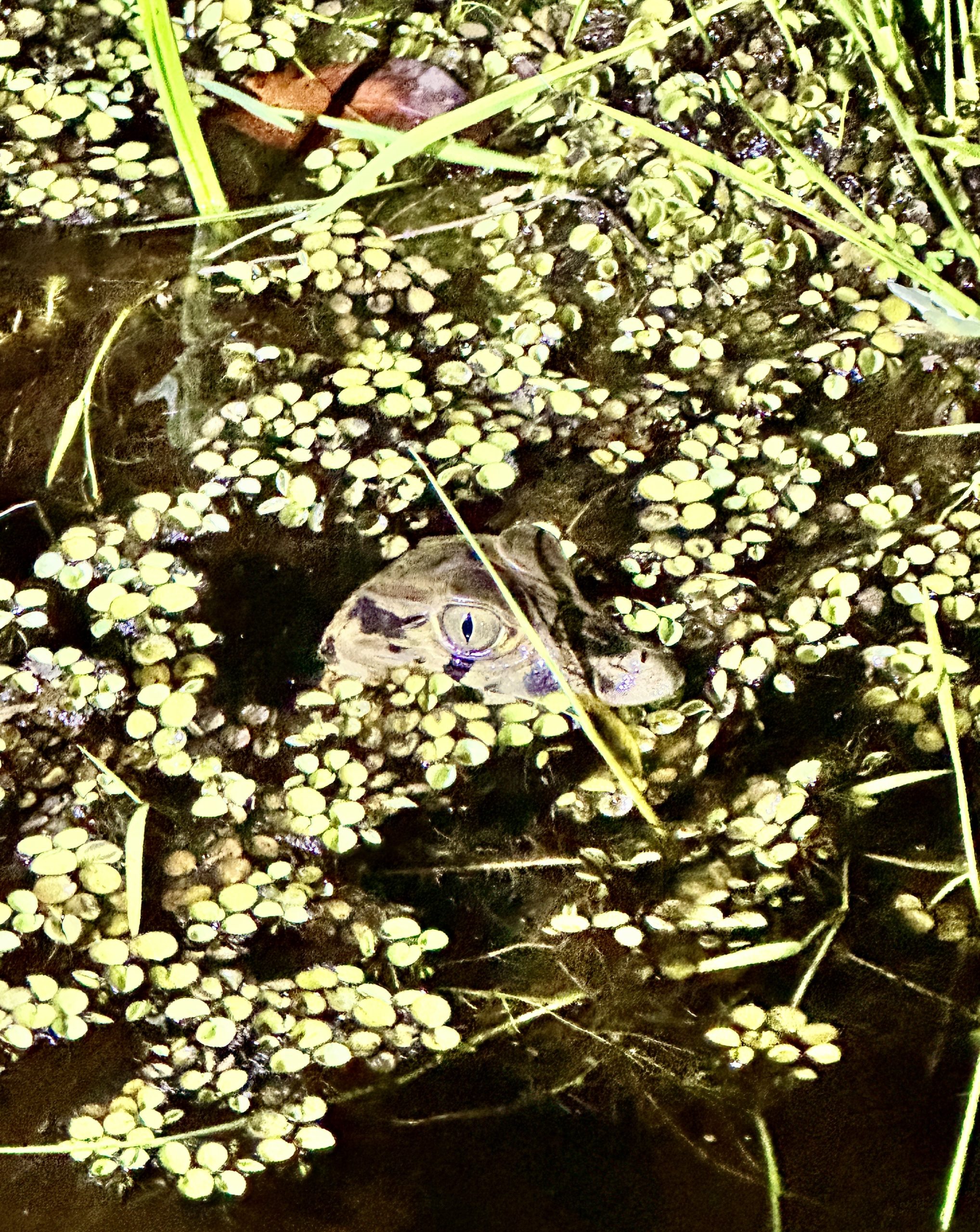 20240503_000108196_iOS