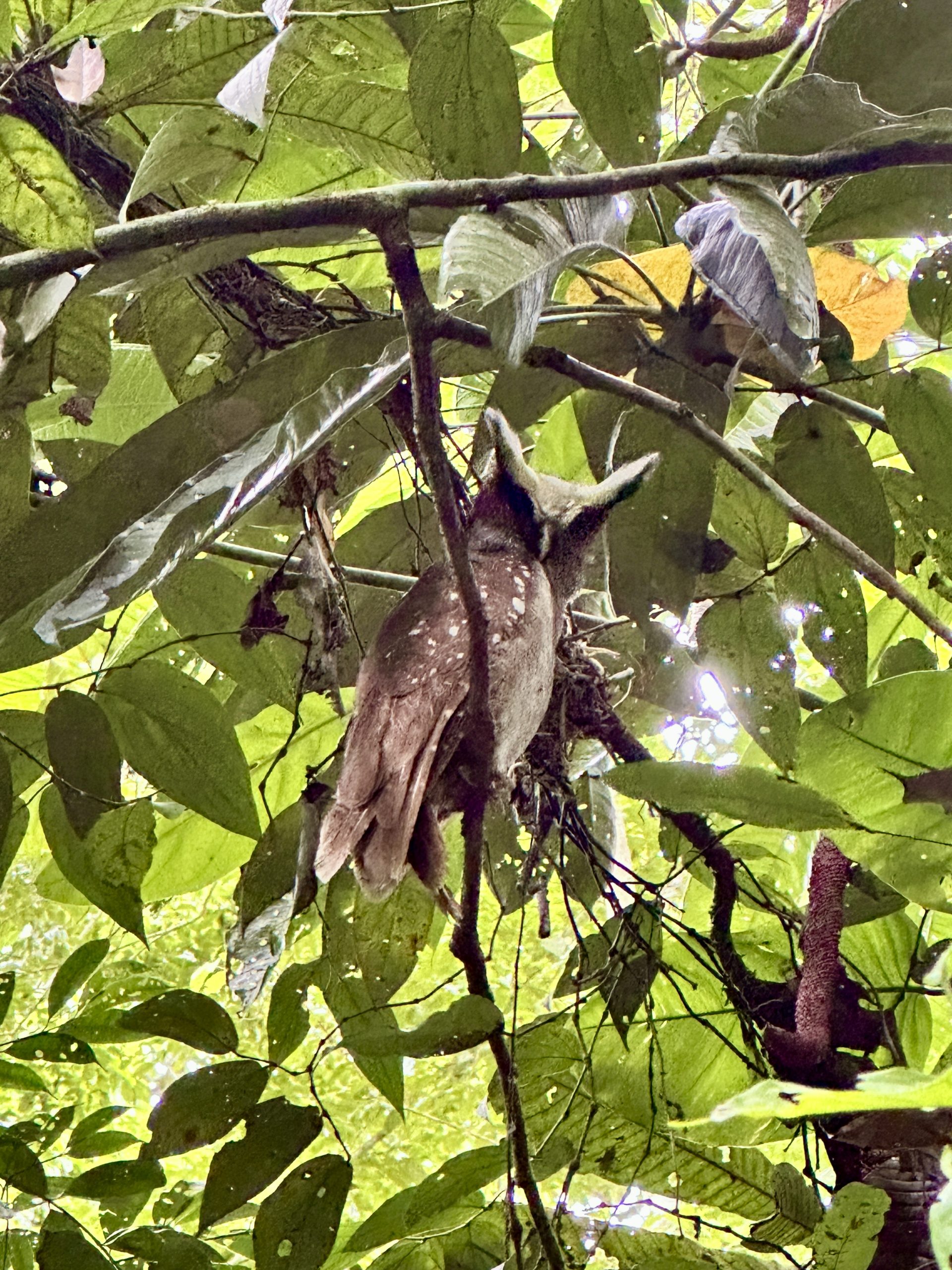 20240503_150246541_iOS