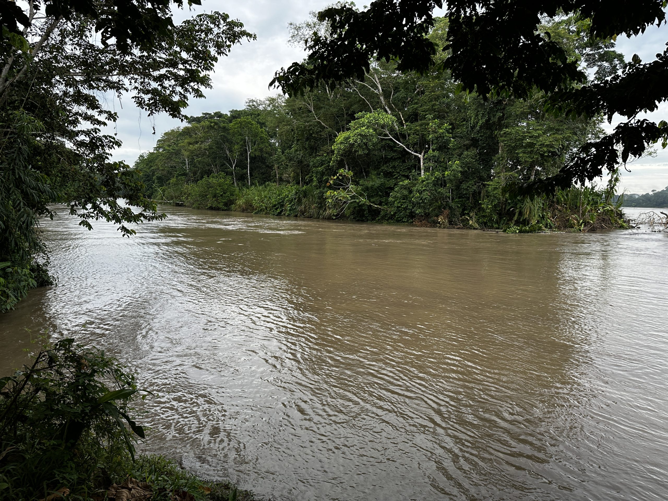 20240504_113323661_iOS