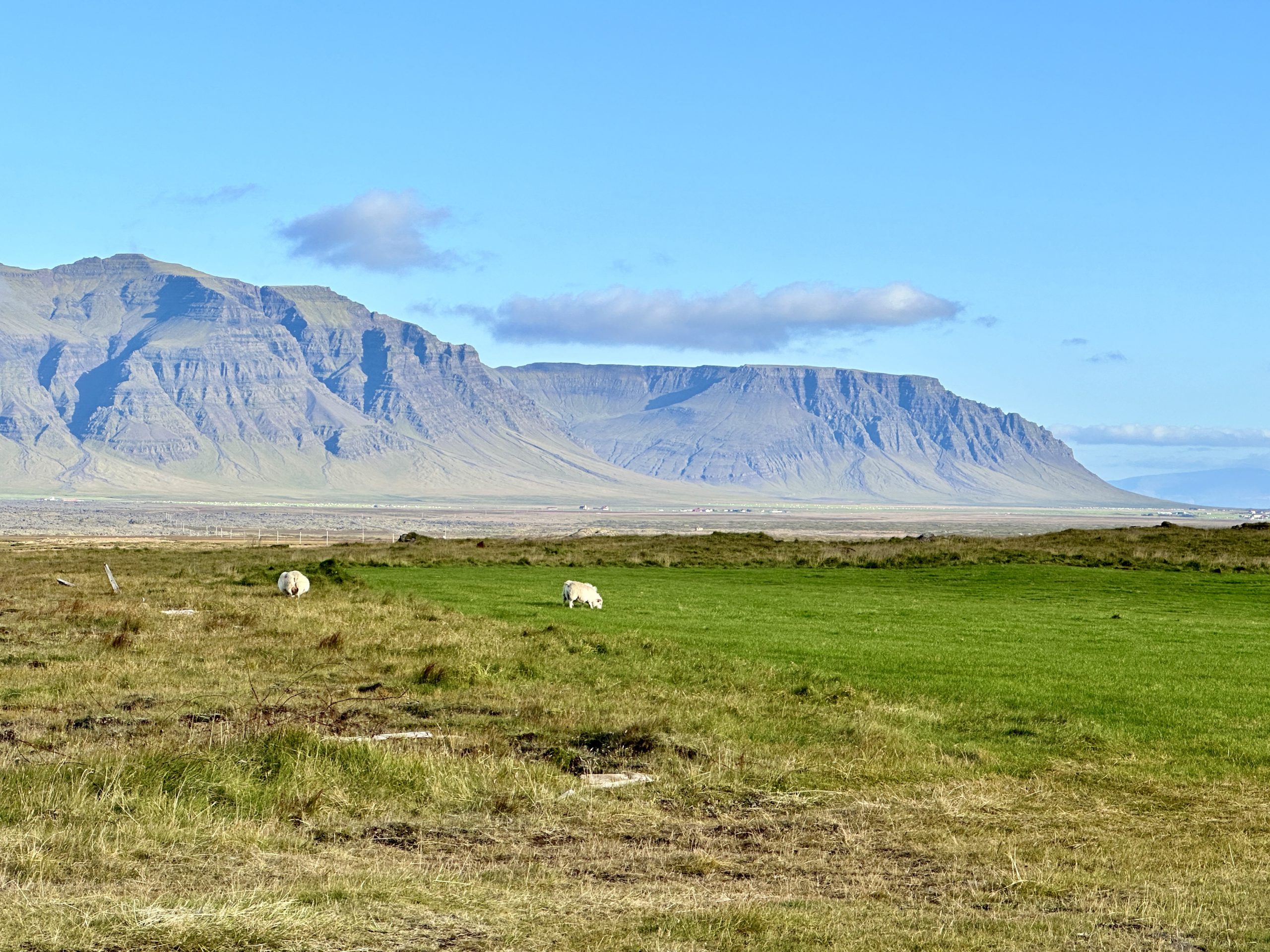 20240903_174556455_iOS